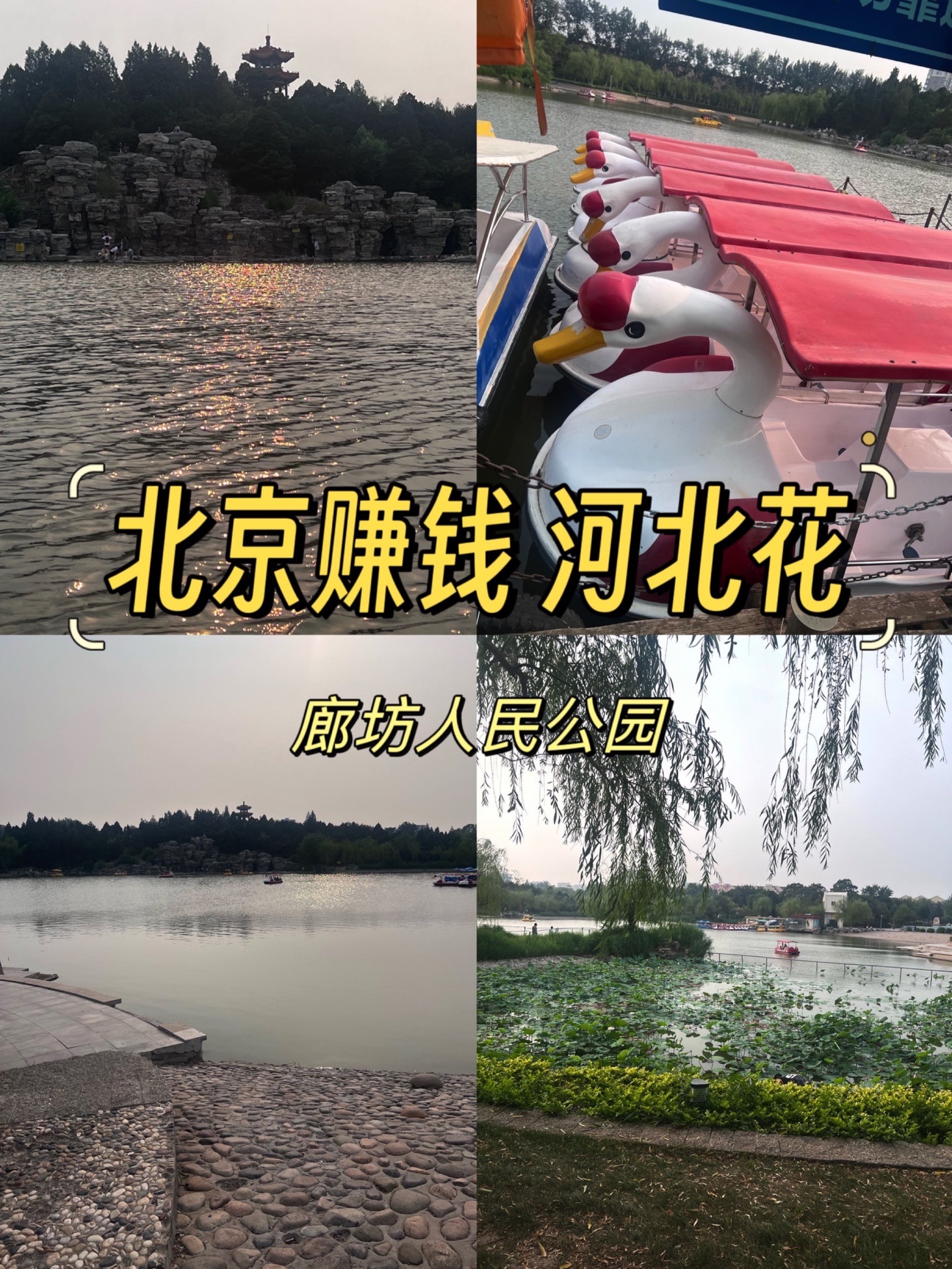 人民公园旅行图片 1