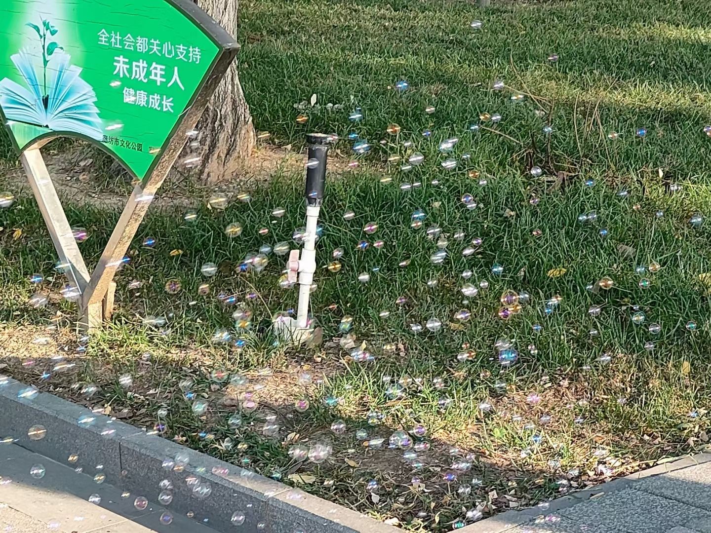 廊坊市文化艺术公园旅行图片 2