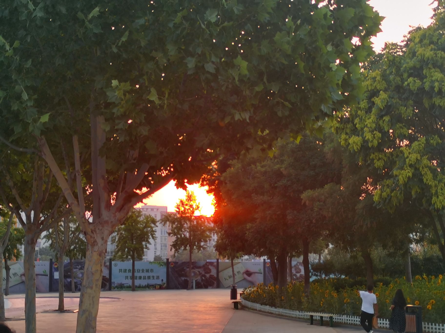 廊坊市文化艺术公园旅行图片 2