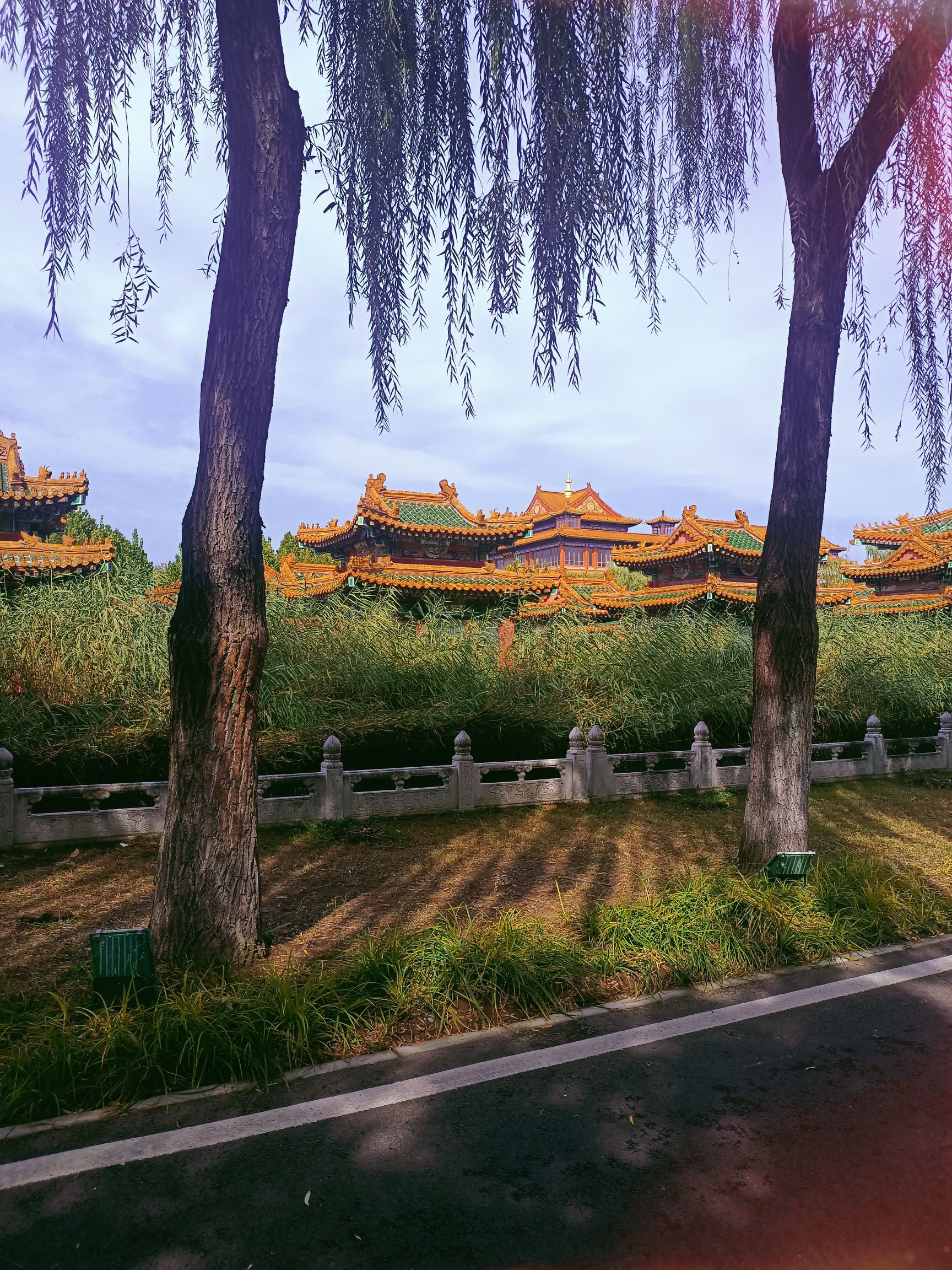 国安第一城旅行图片 3