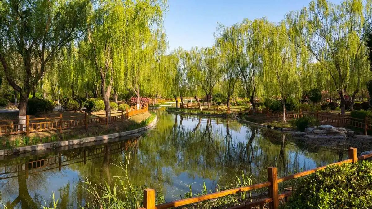 燕郊公园旅行图片 2