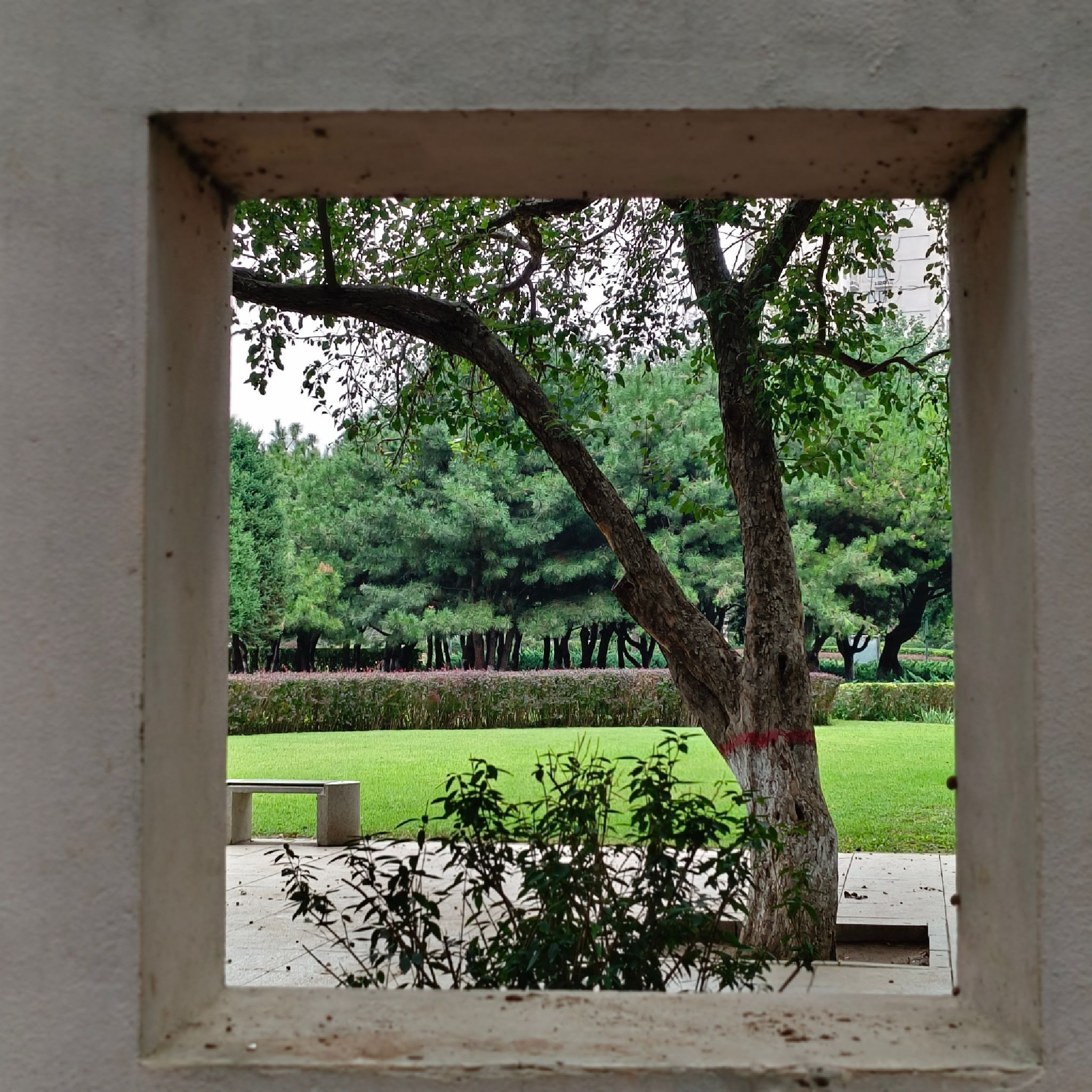 燕郊公园旅行图片 1