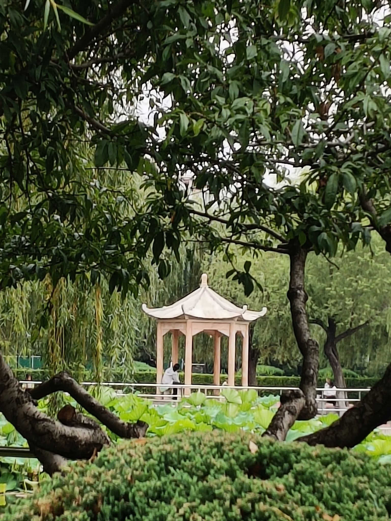 燕郊公园旅行图片 3