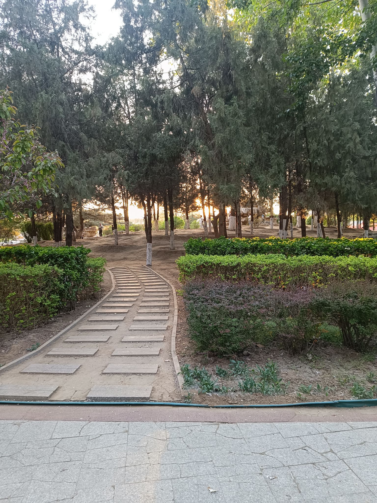 燕郊公园旅行图片 3