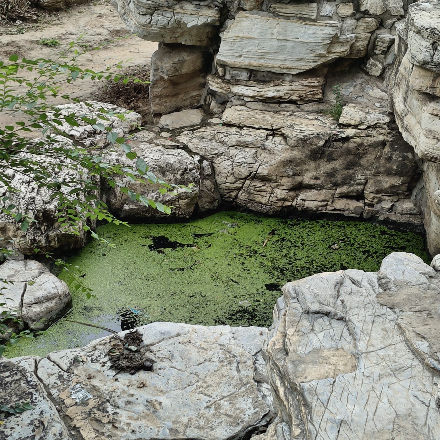 燕郊公园旅行图片 2