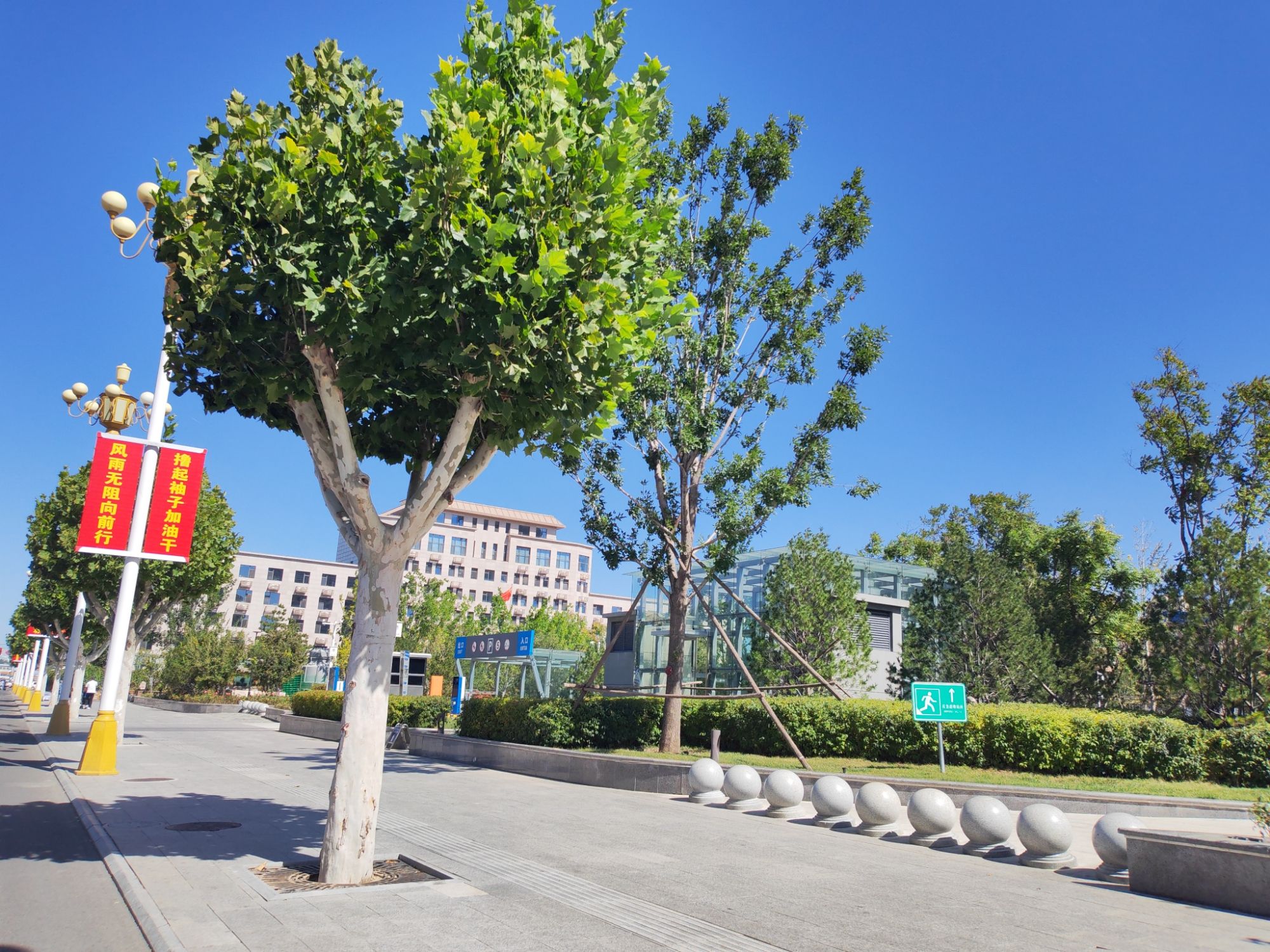 香河人民广场旅行图片 3