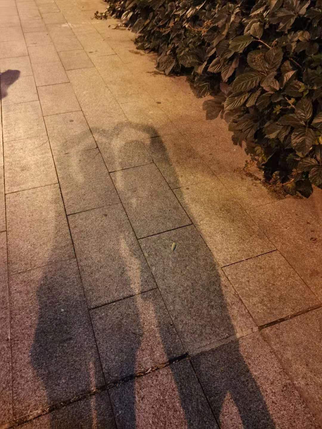 香河人民广场旅行图片 3