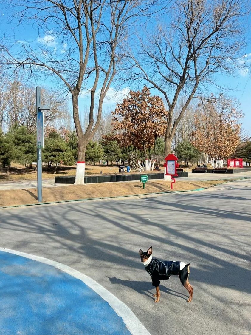 五环公园旅行图片 1
