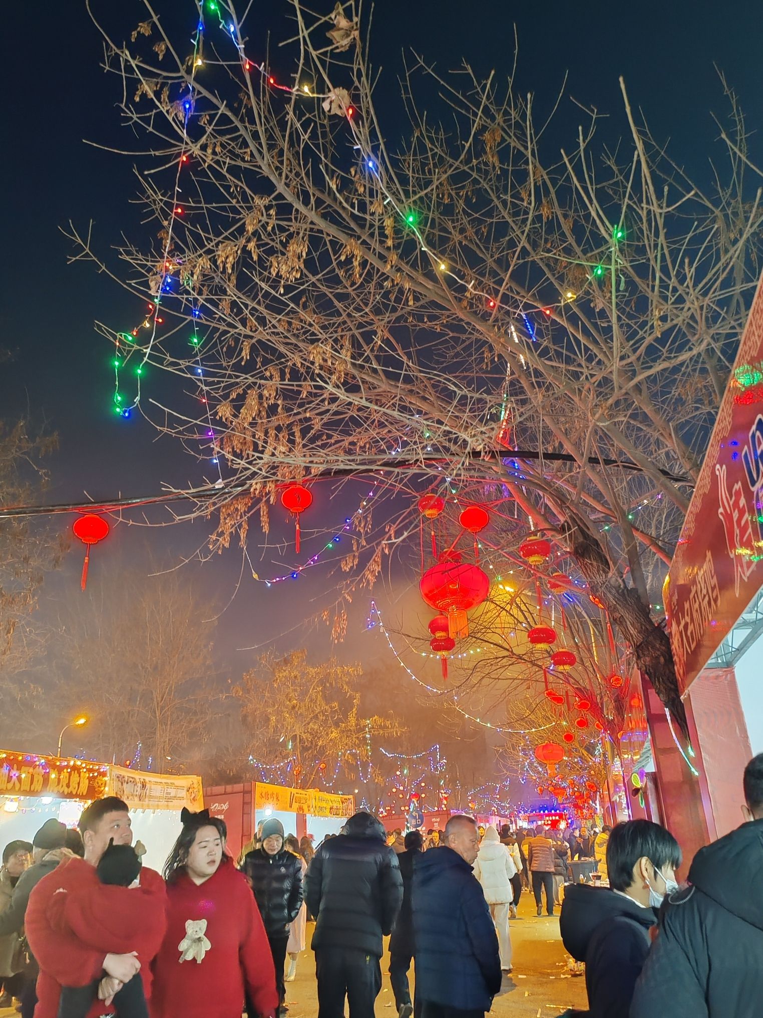 五环公园旅行图片 1