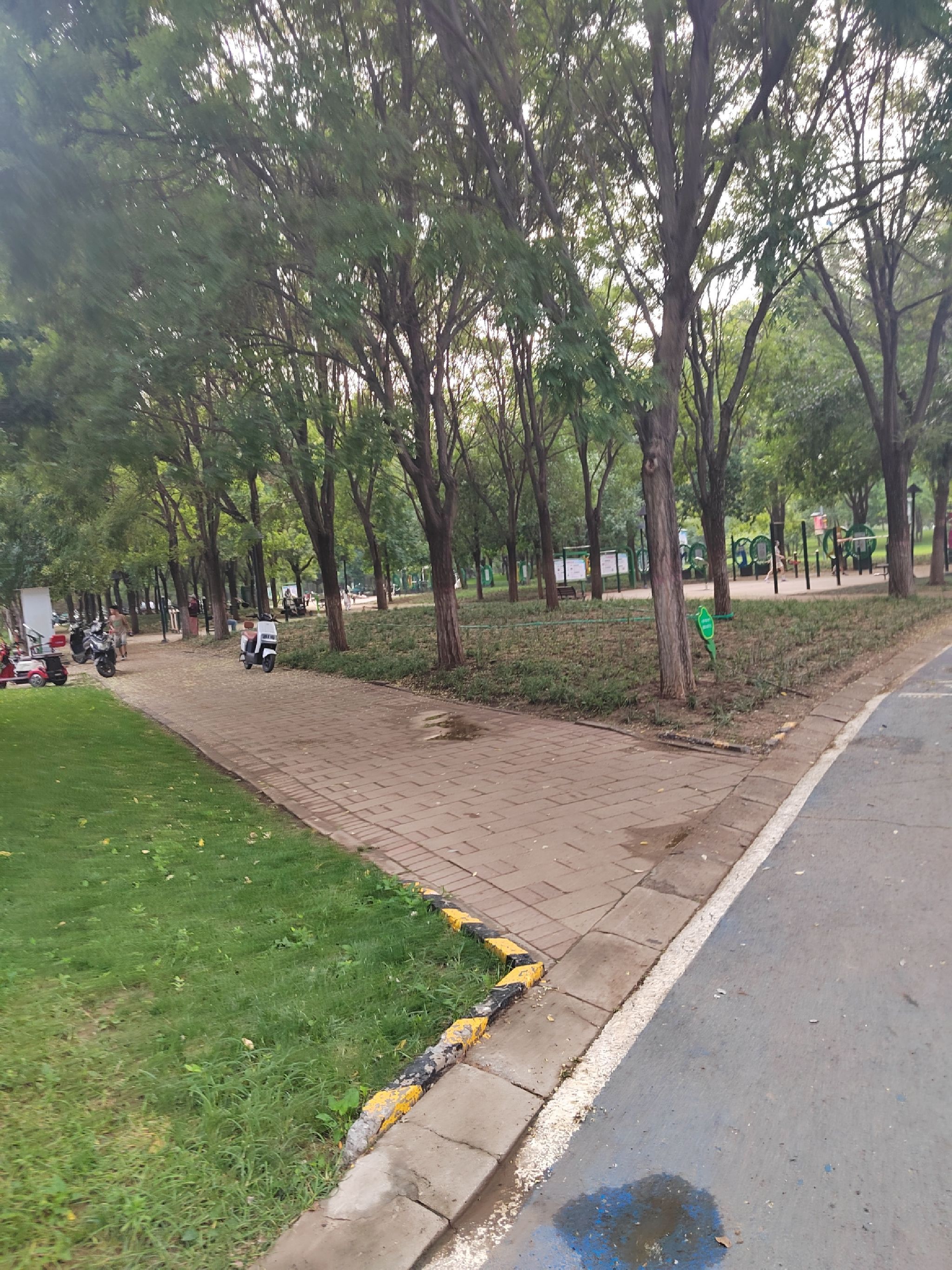 五环公园旅行图片 3