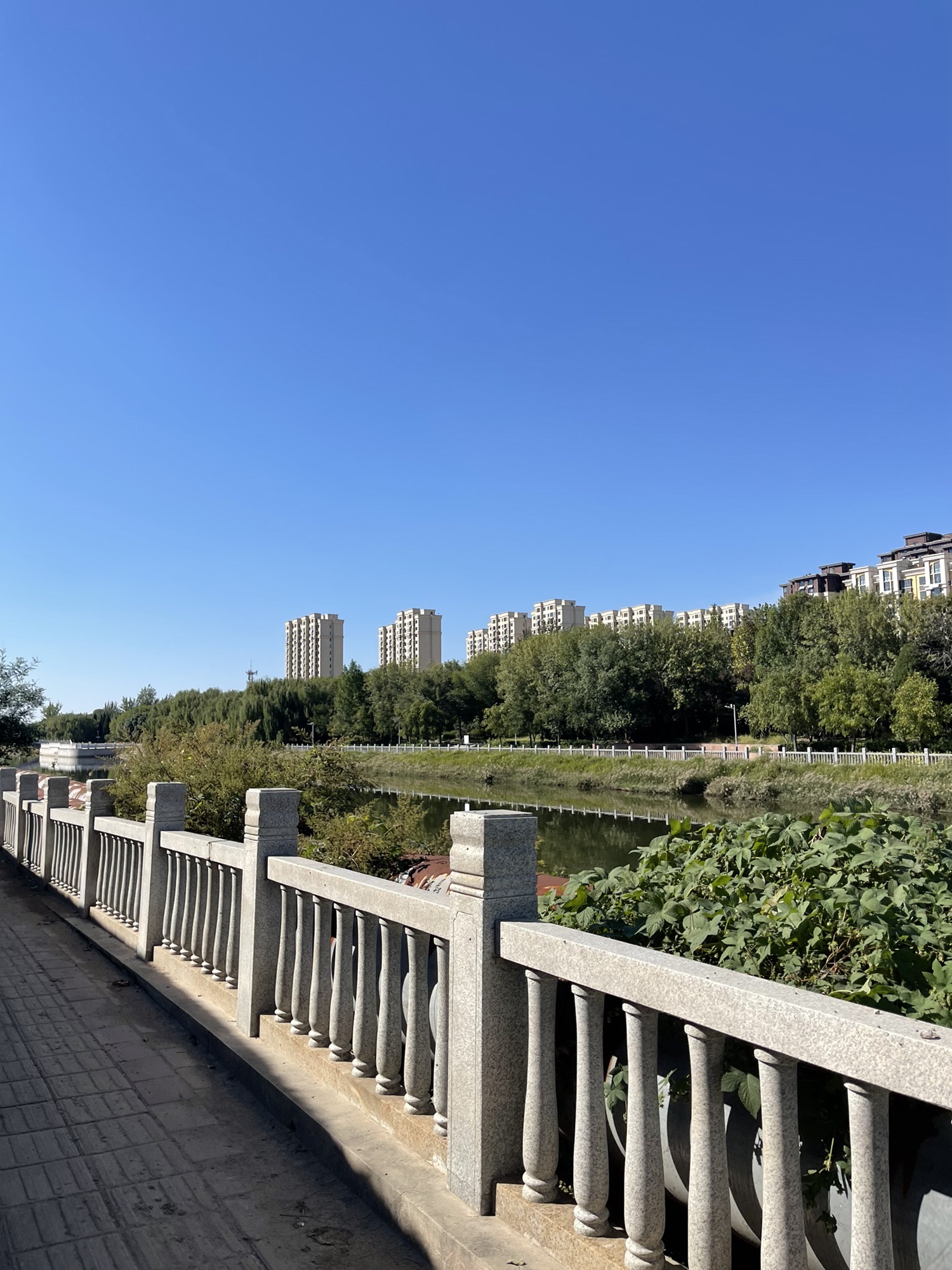 同庆广场旅行图片 1