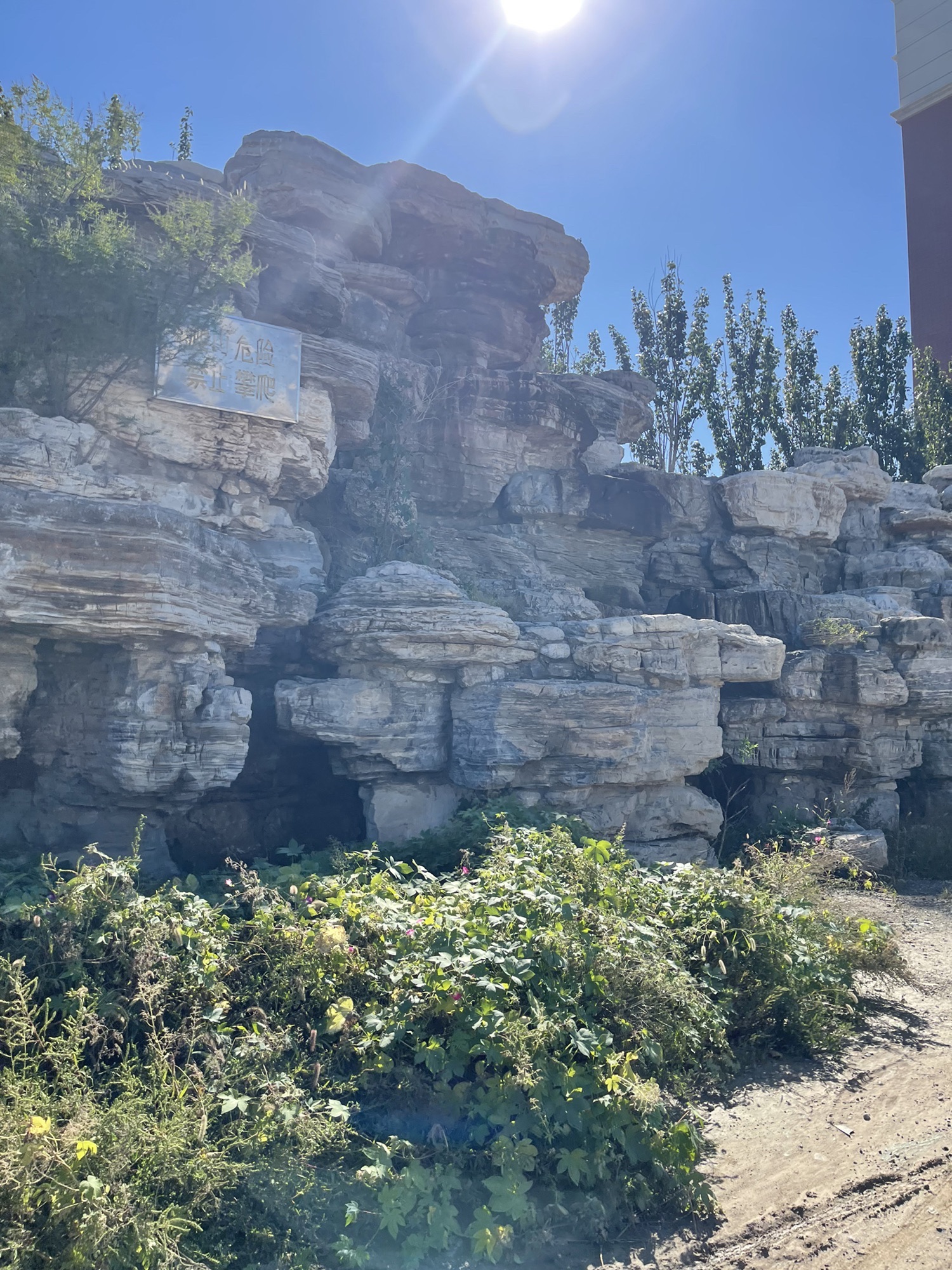 同庆广场旅行图片 2