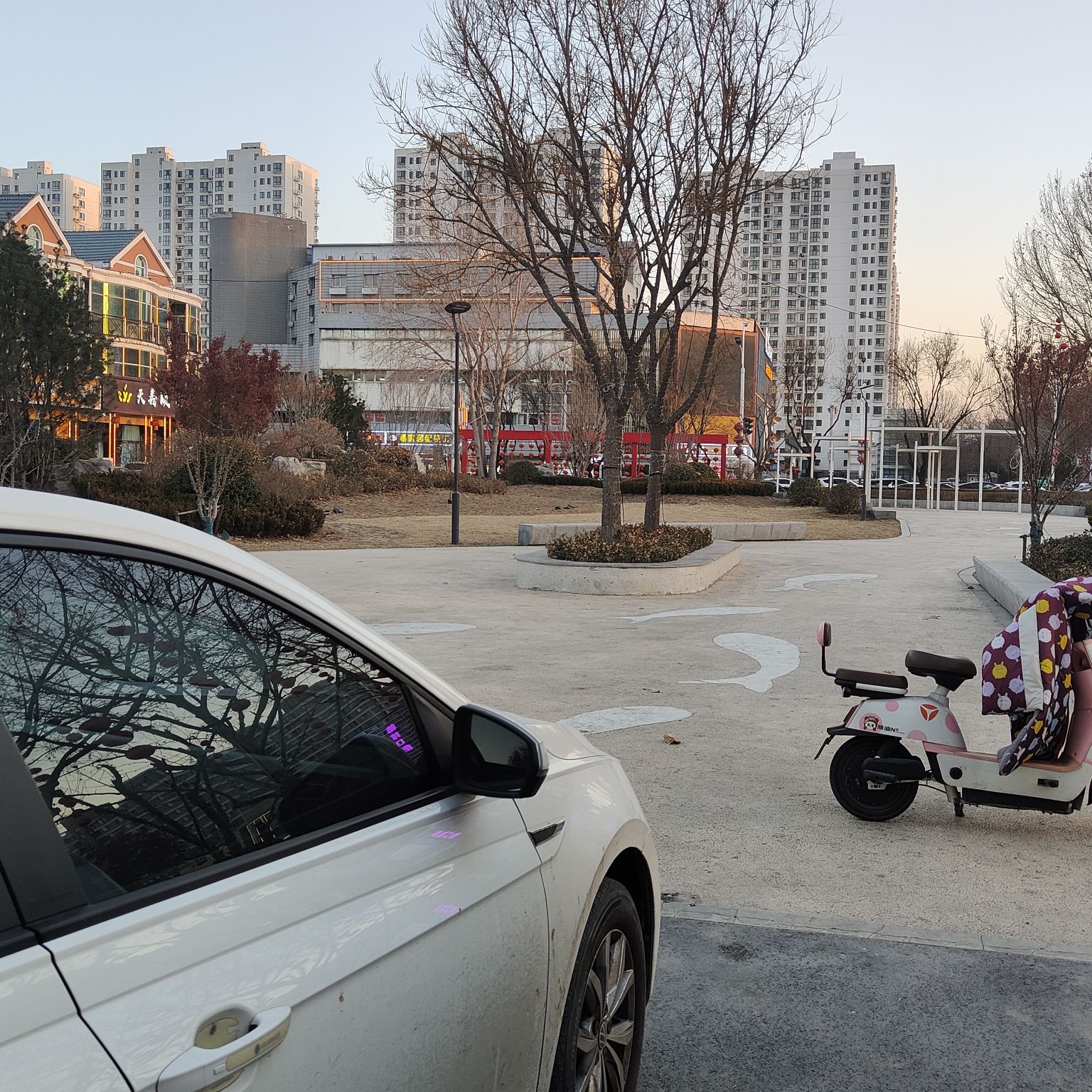 金海园旅行图片 3