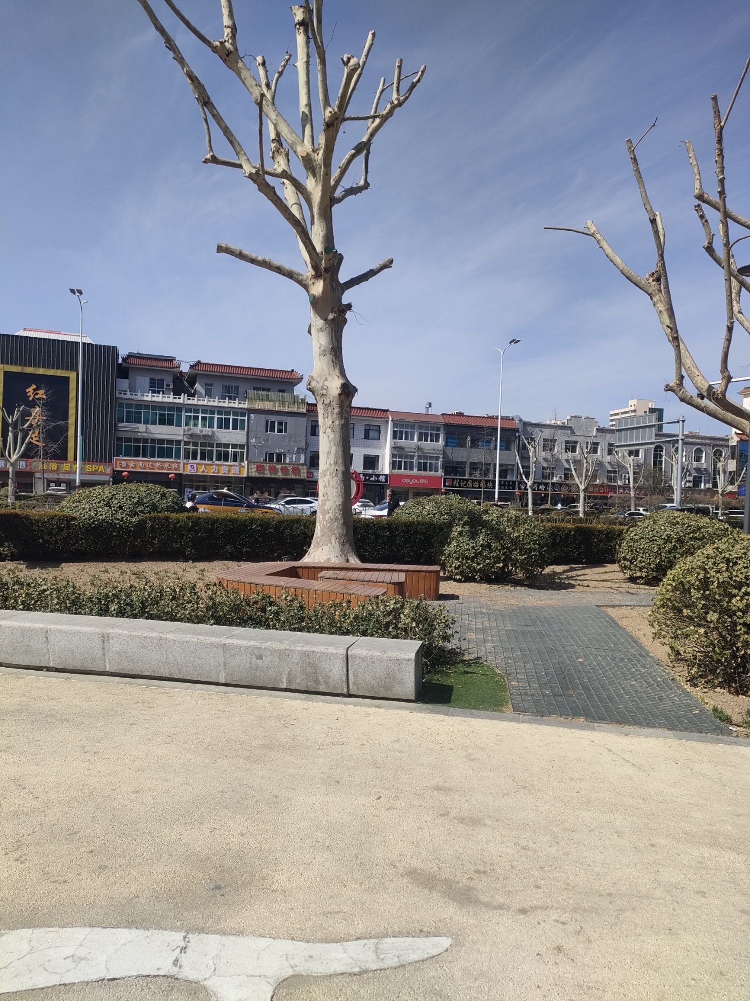 金海园旅行图片 3