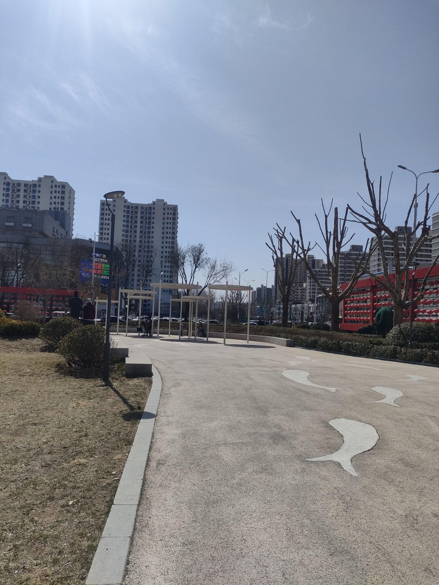 金海园旅行图片 2