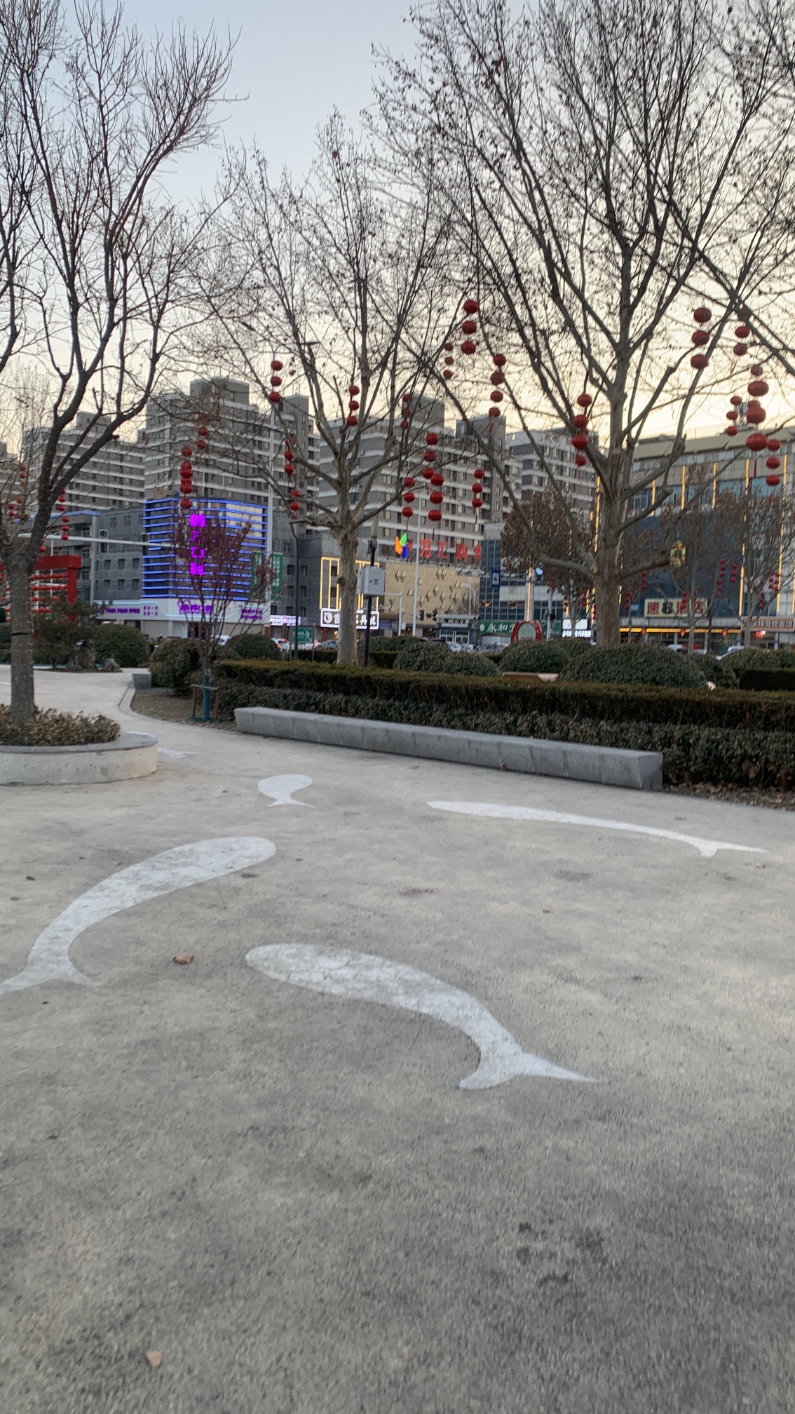 金海园旅行图片 1