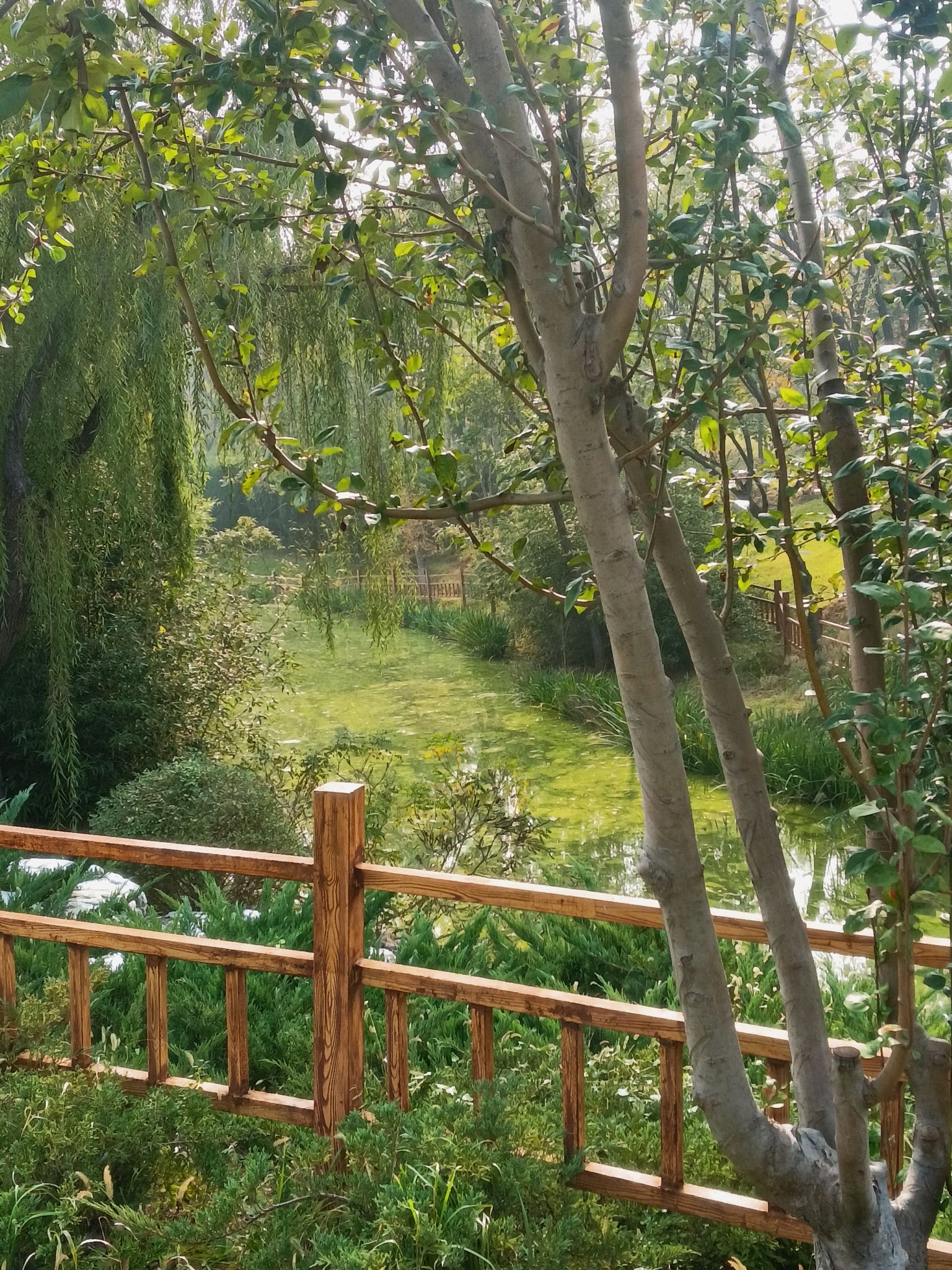 燕郊植物园旅行图片 1