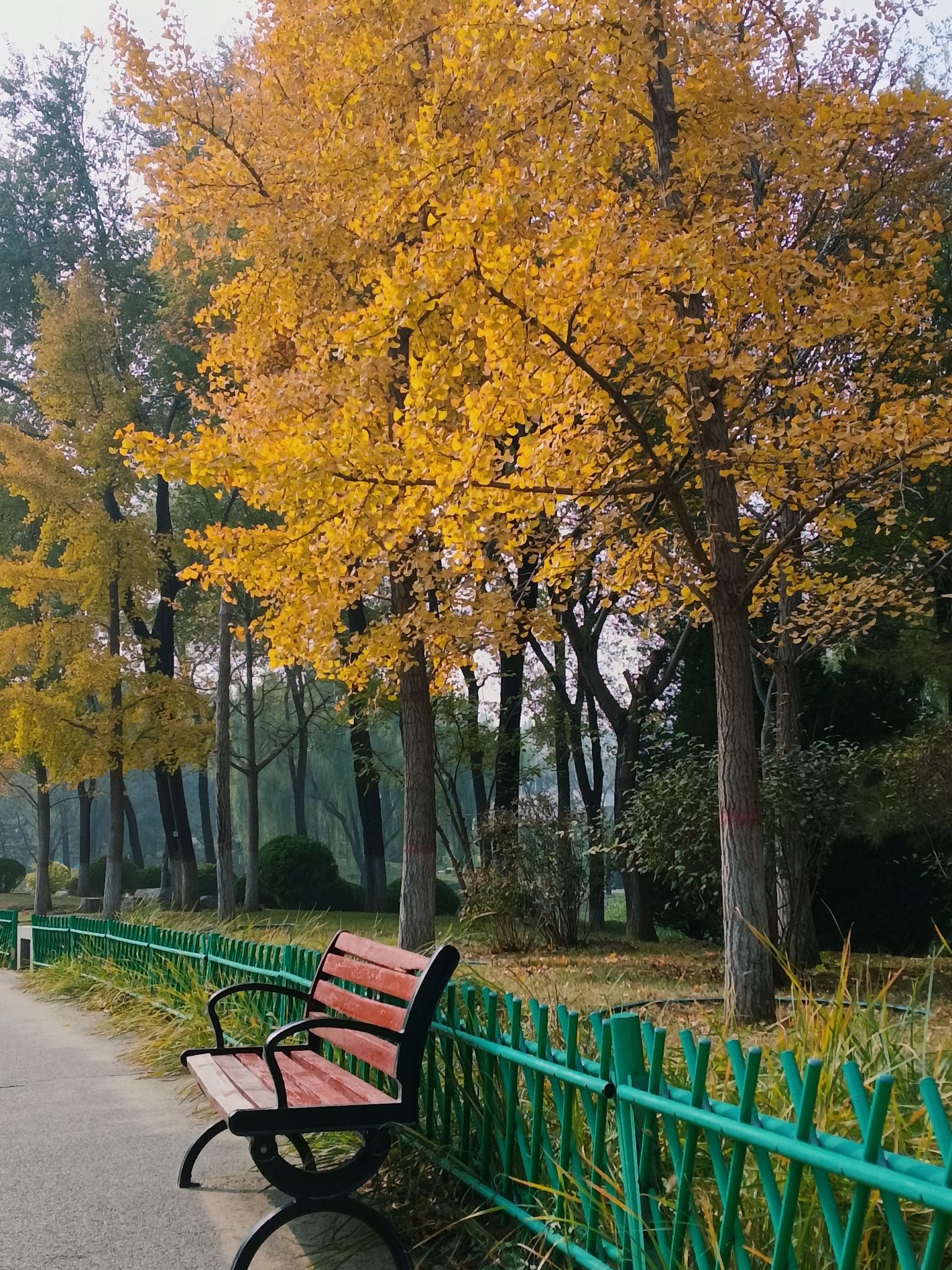 燕郊植物园旅行图片 2