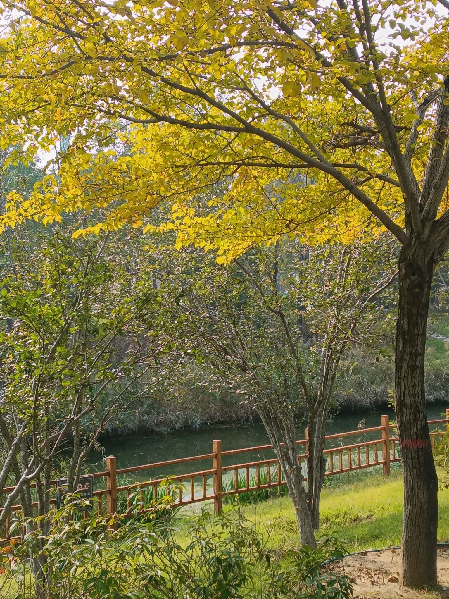 燕郊植物园旅行图片 3