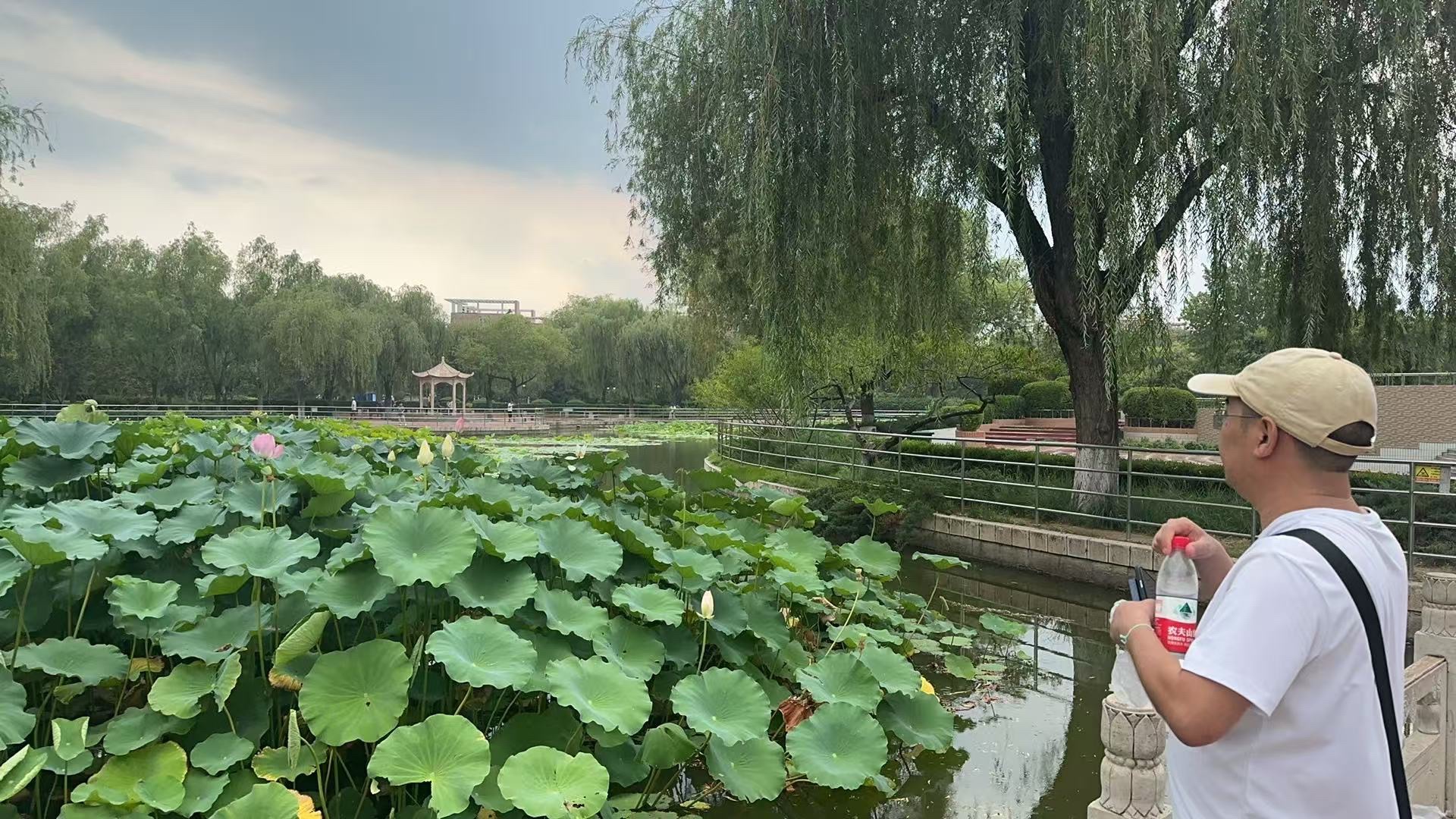 燕郊植物园旅行图片 1