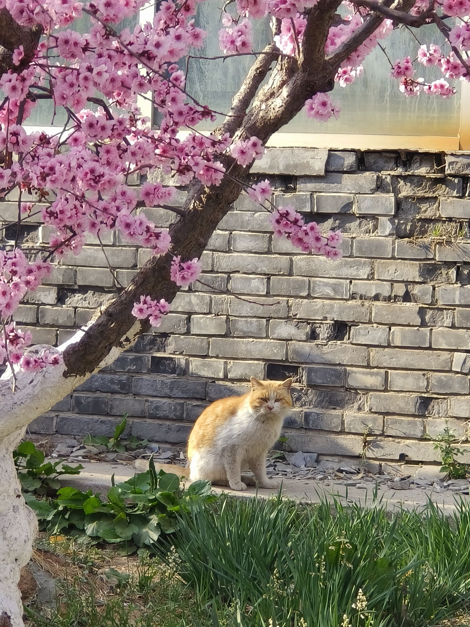 燕郊植物园旅行图片 1