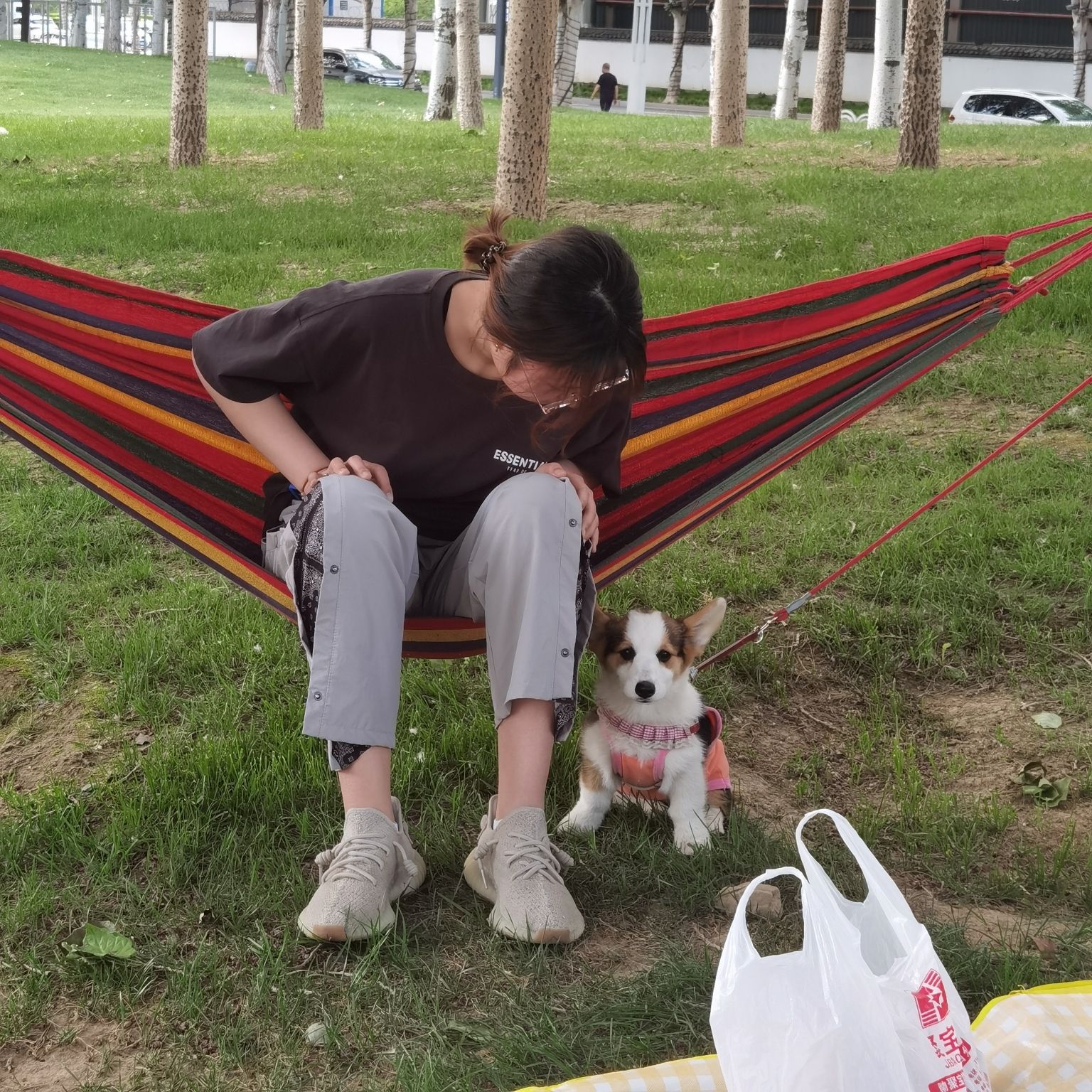 固安中央公园旅行图片 2