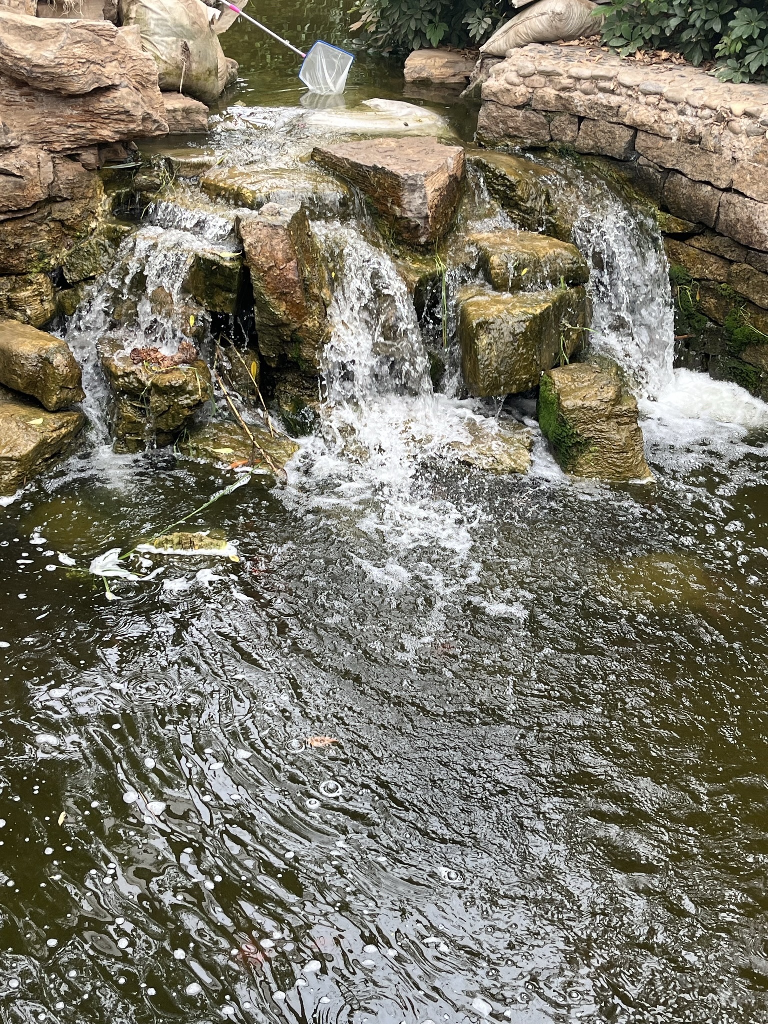 九天休闲谷旅行图片 2