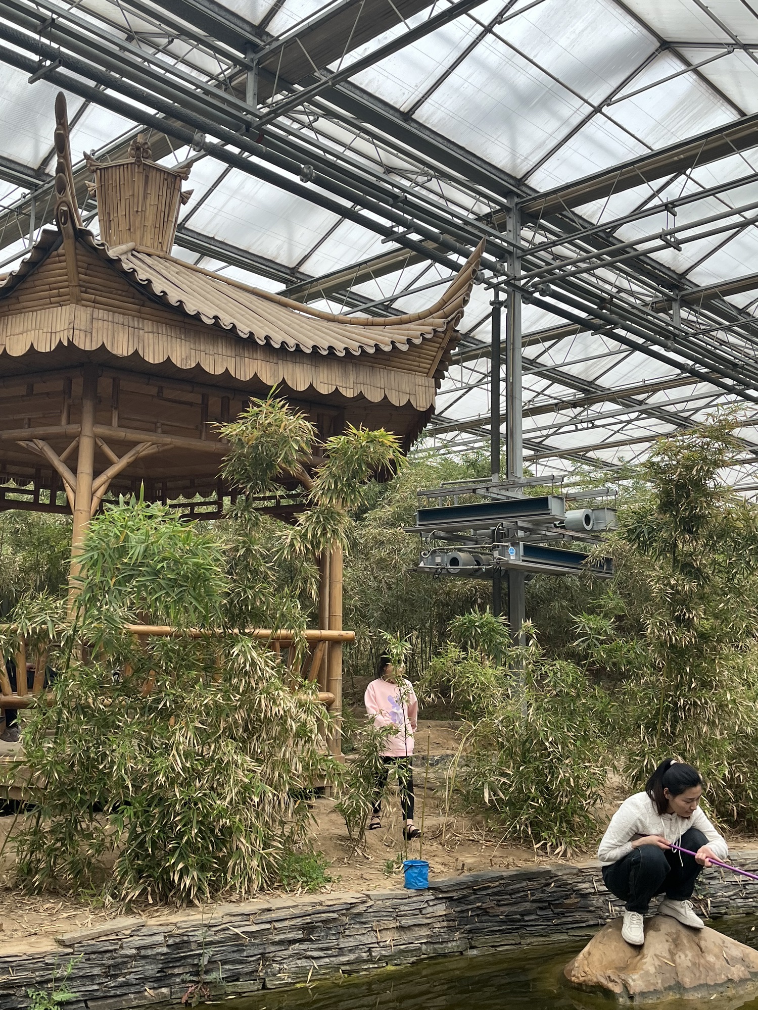 九天休闲谷旅行图片 3
