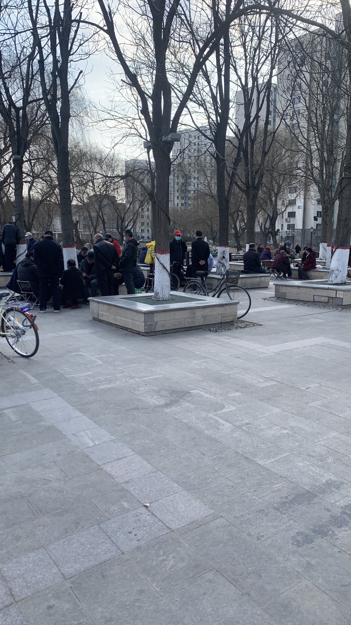 郦湖公园旅行图片 2