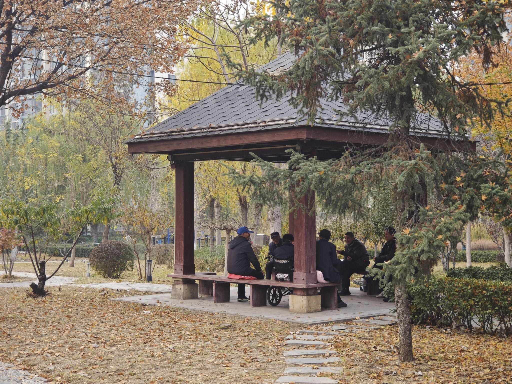 郦湖公园旅行图片 3