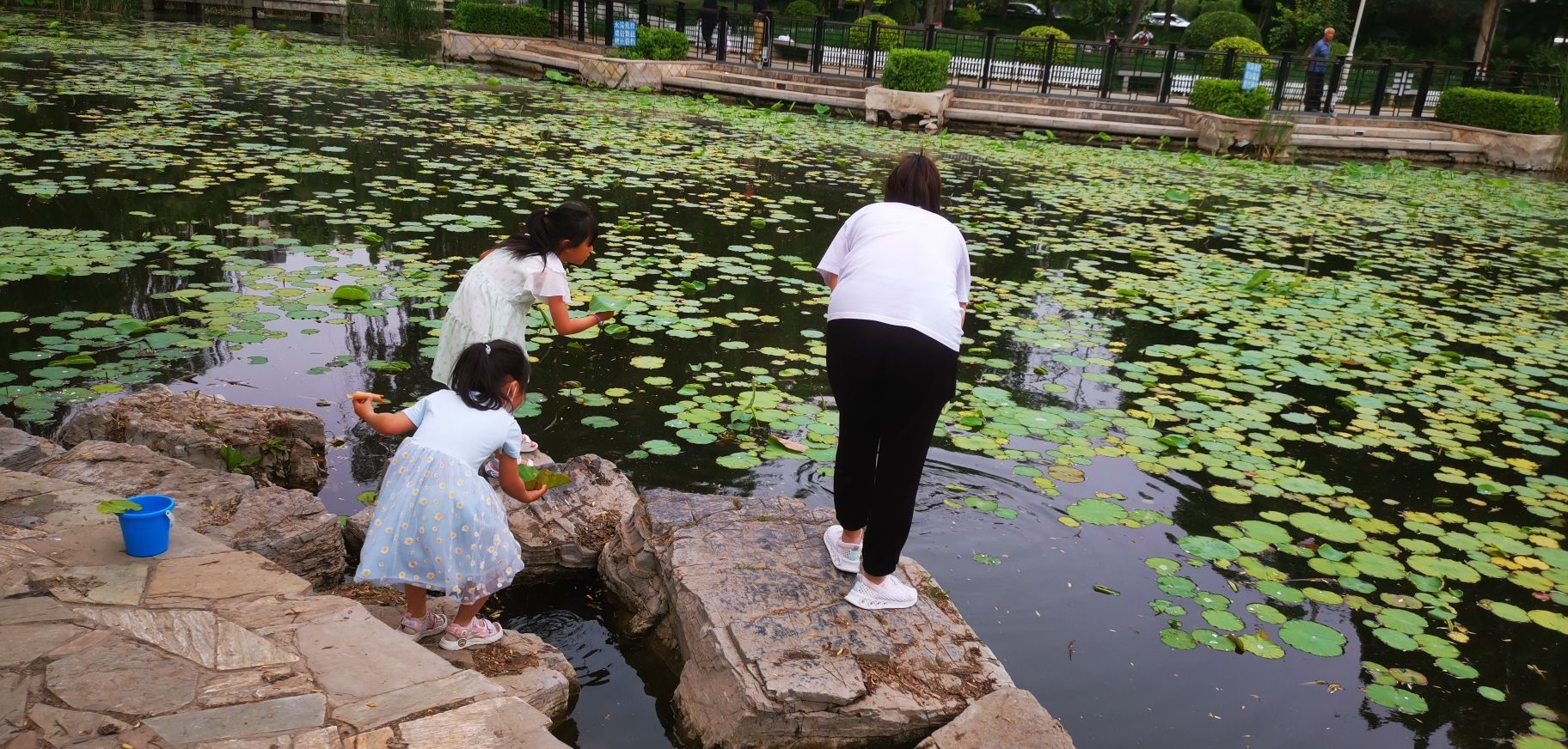 郦湖公园旅行图片 1