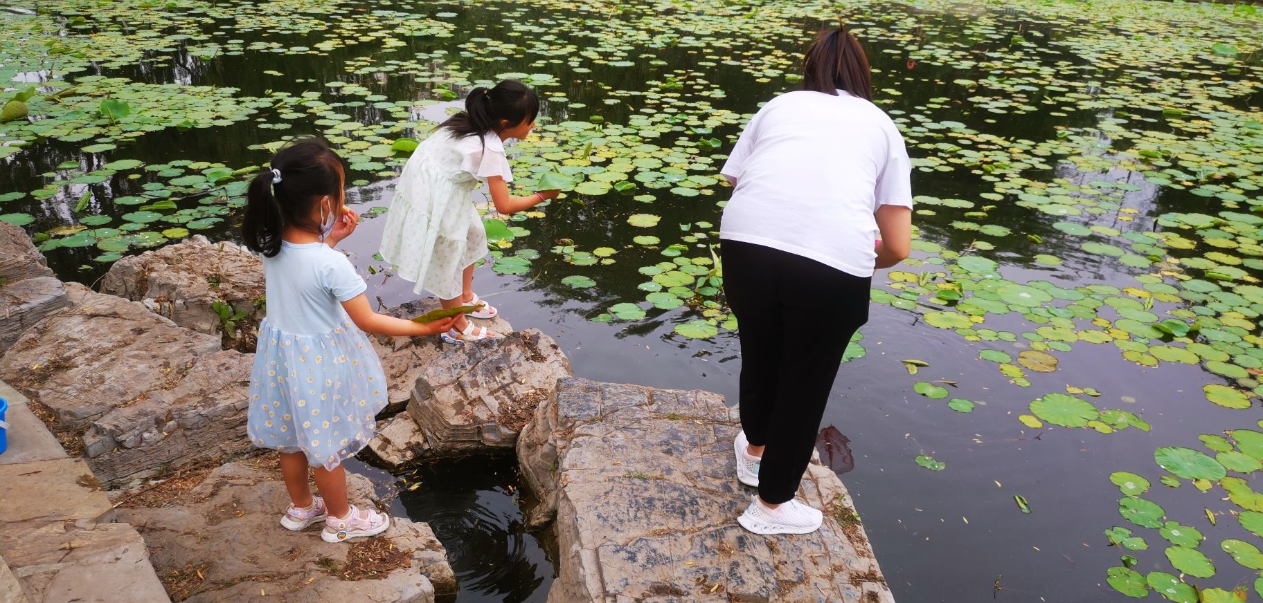 郦湖公园旅行图片 2