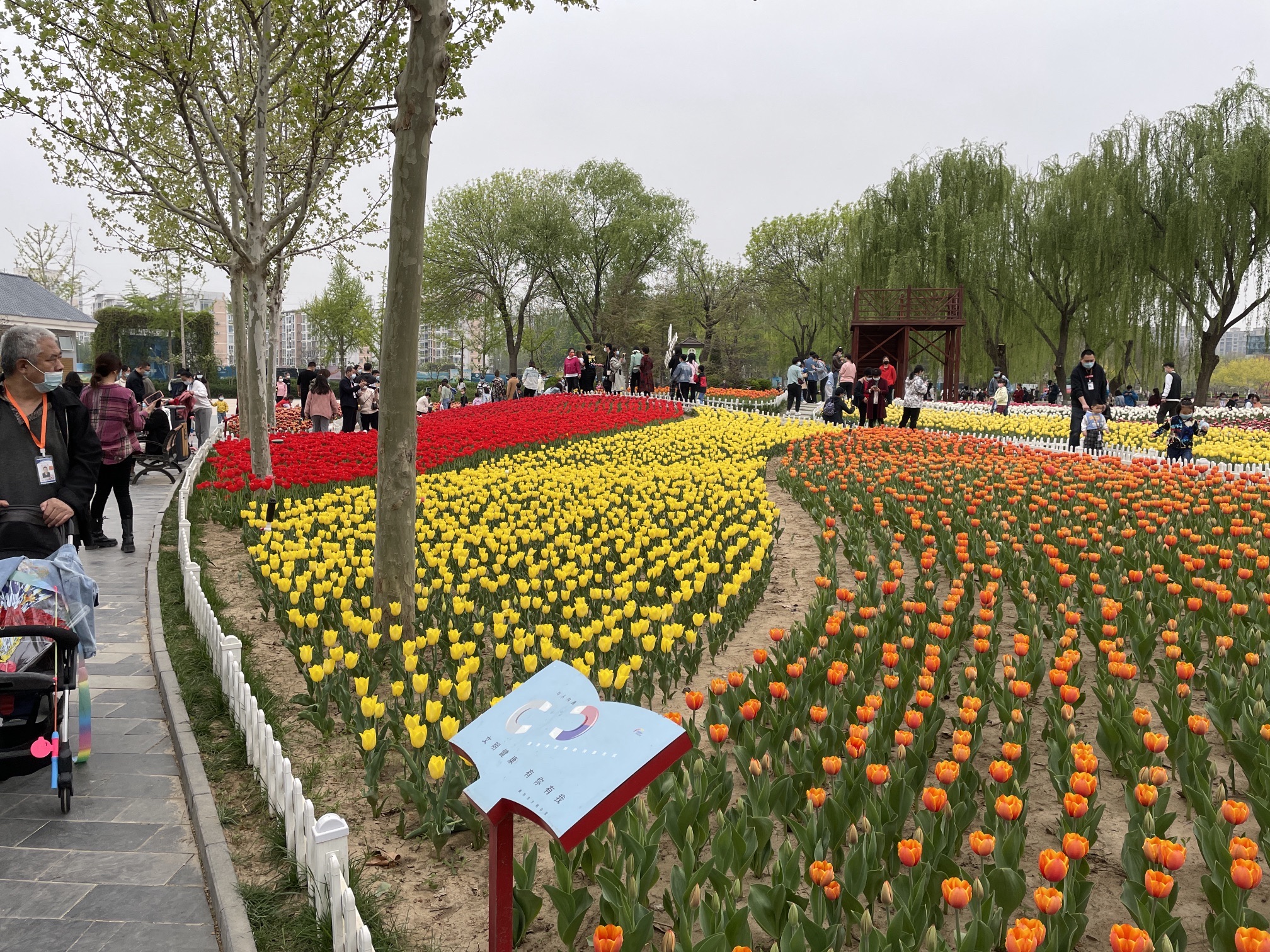 霸州生态公园旅行图片 3