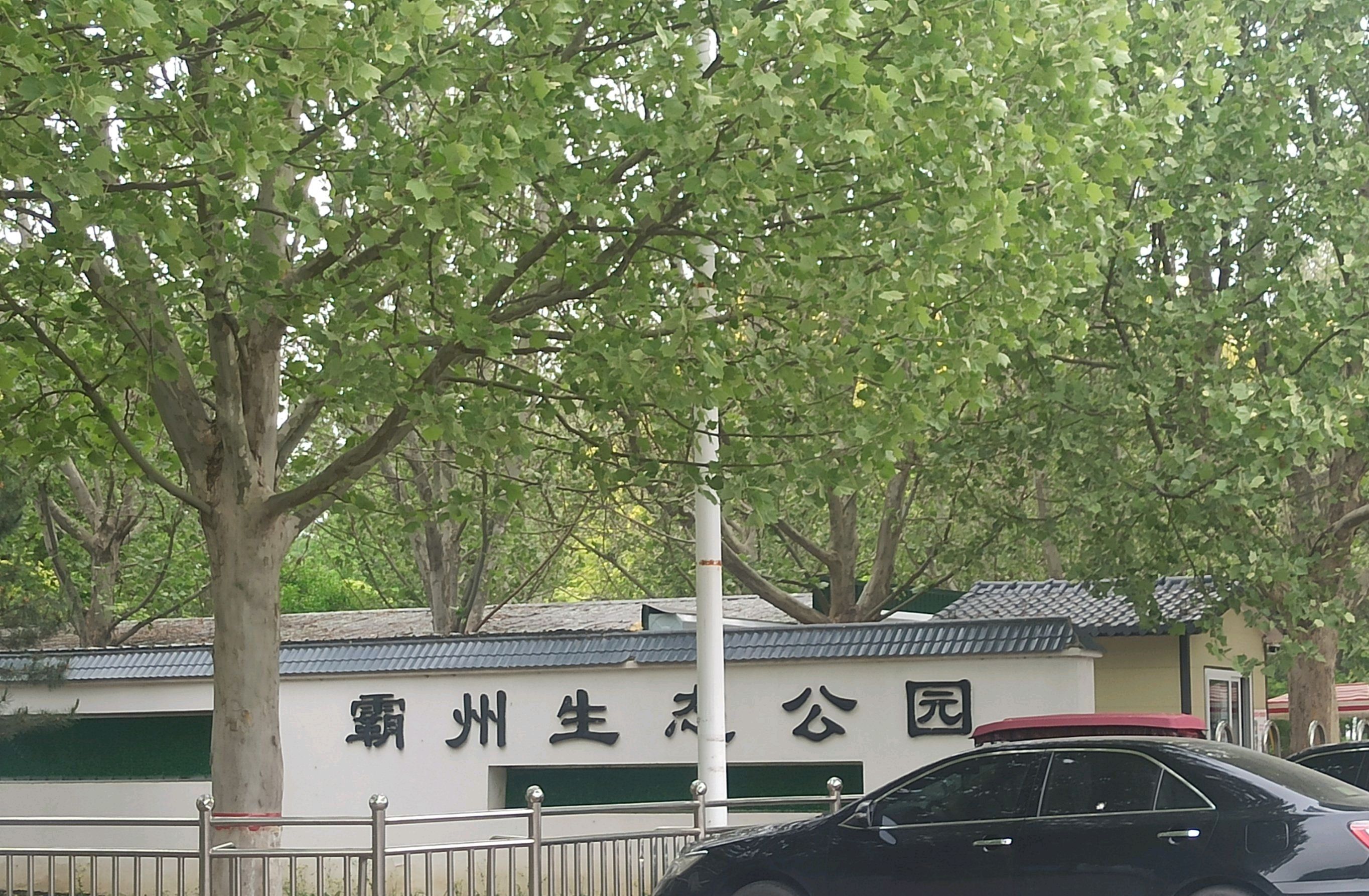 霸州生态公园旅行图片