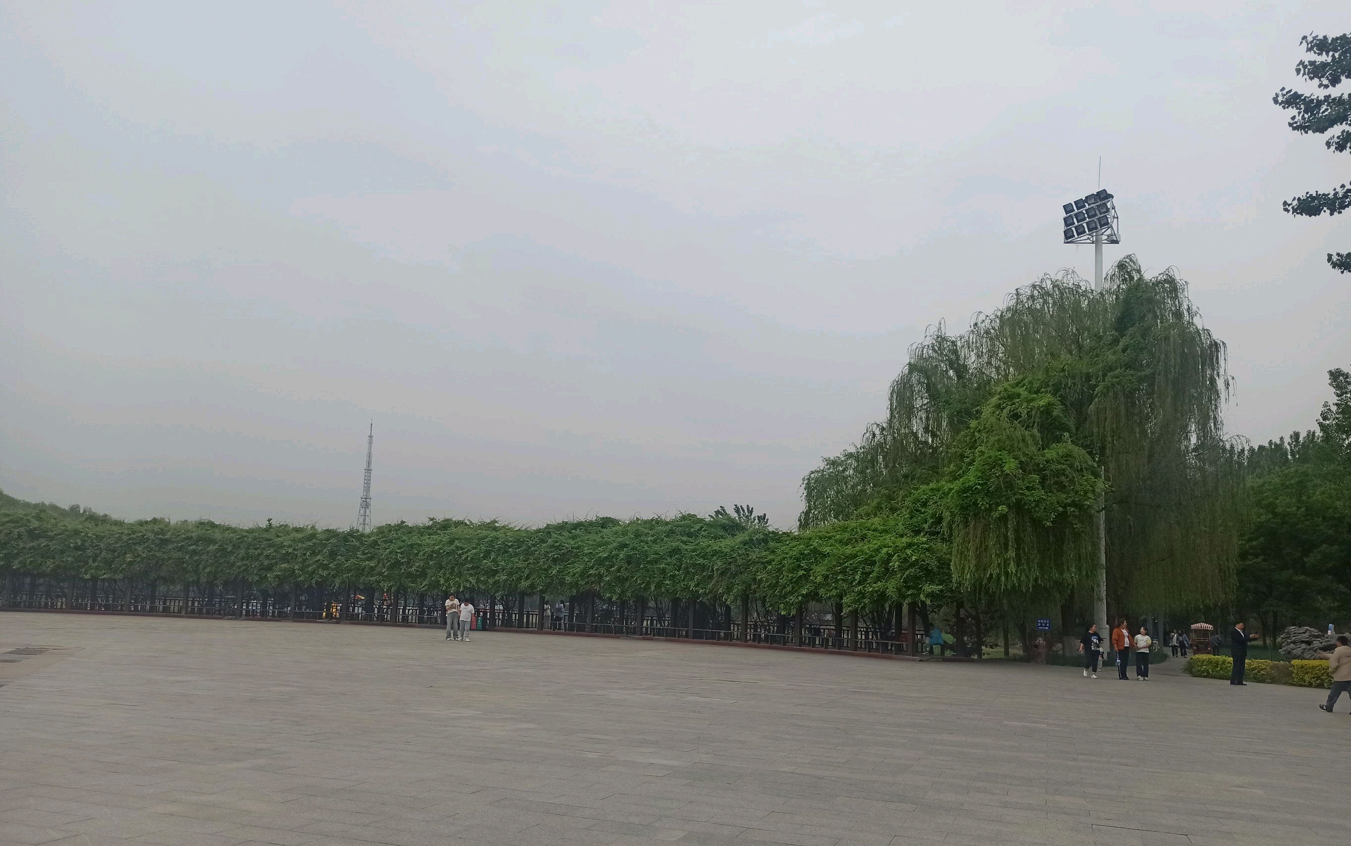 霸州生态公园旅行图片 3