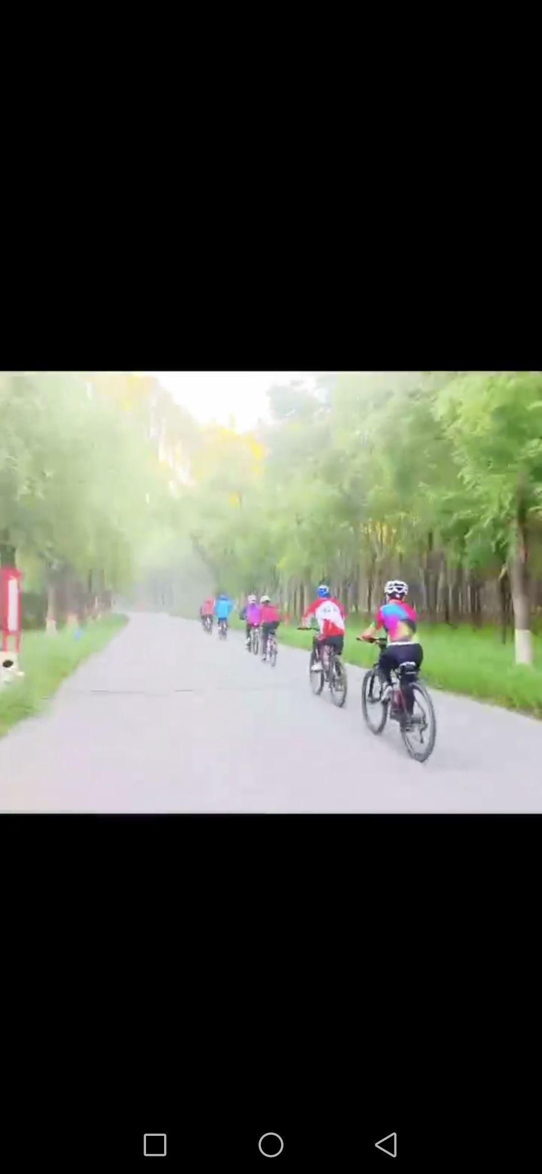 霸州生态公园旅行图片 1