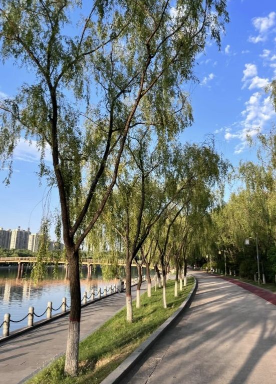 雁翎公园旅行图片 3