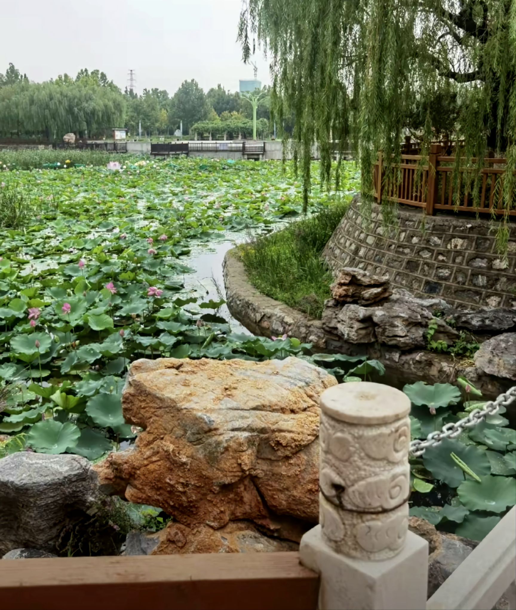 雁翎公园旅行图片 1