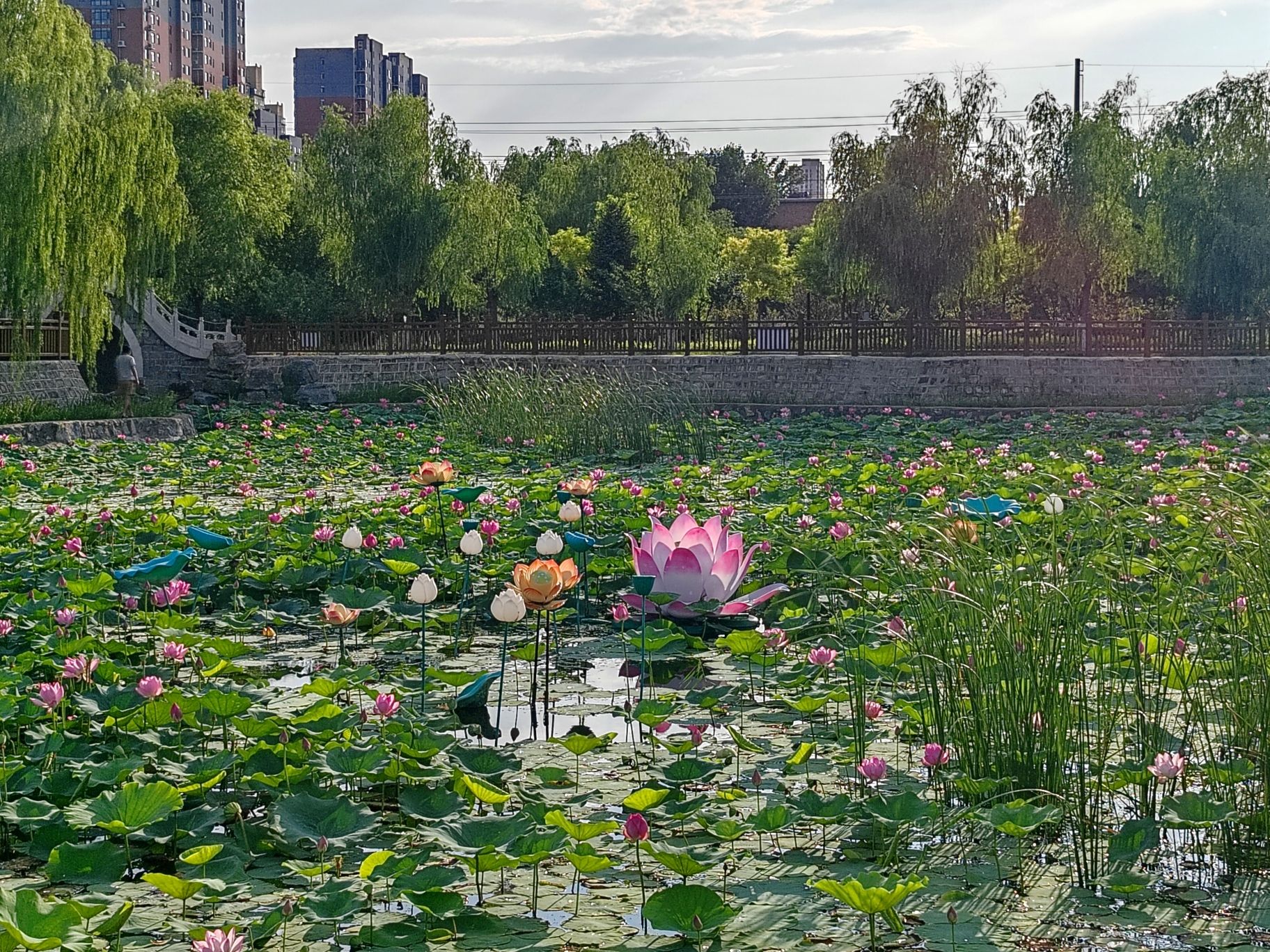 雁翎公园