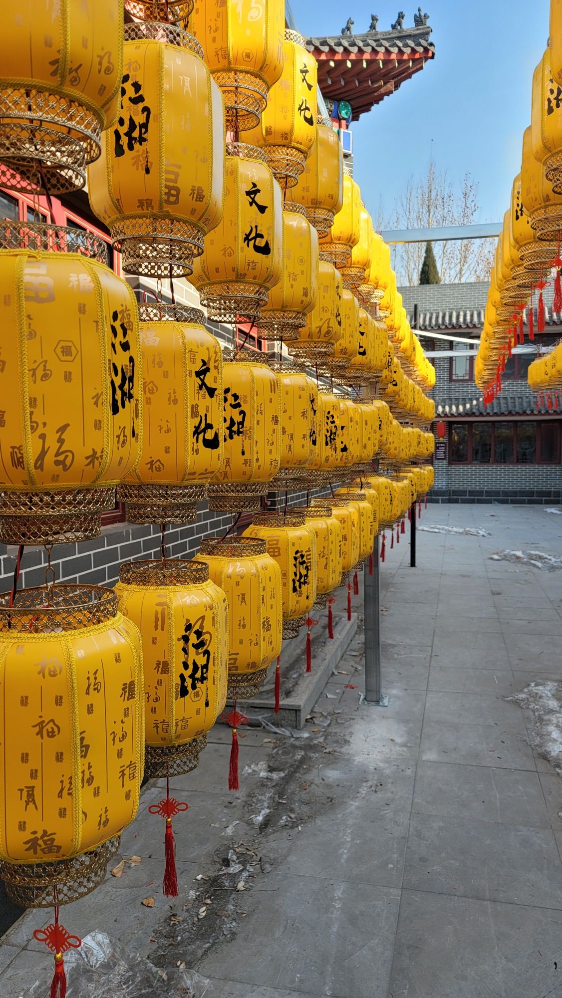 吴桥杂技大世界旅行图片 2