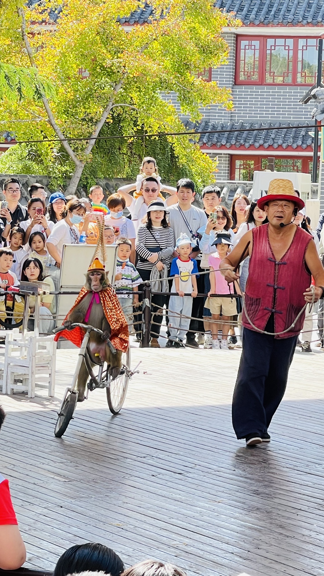 吴桥杂技大世界旅行图片 2
