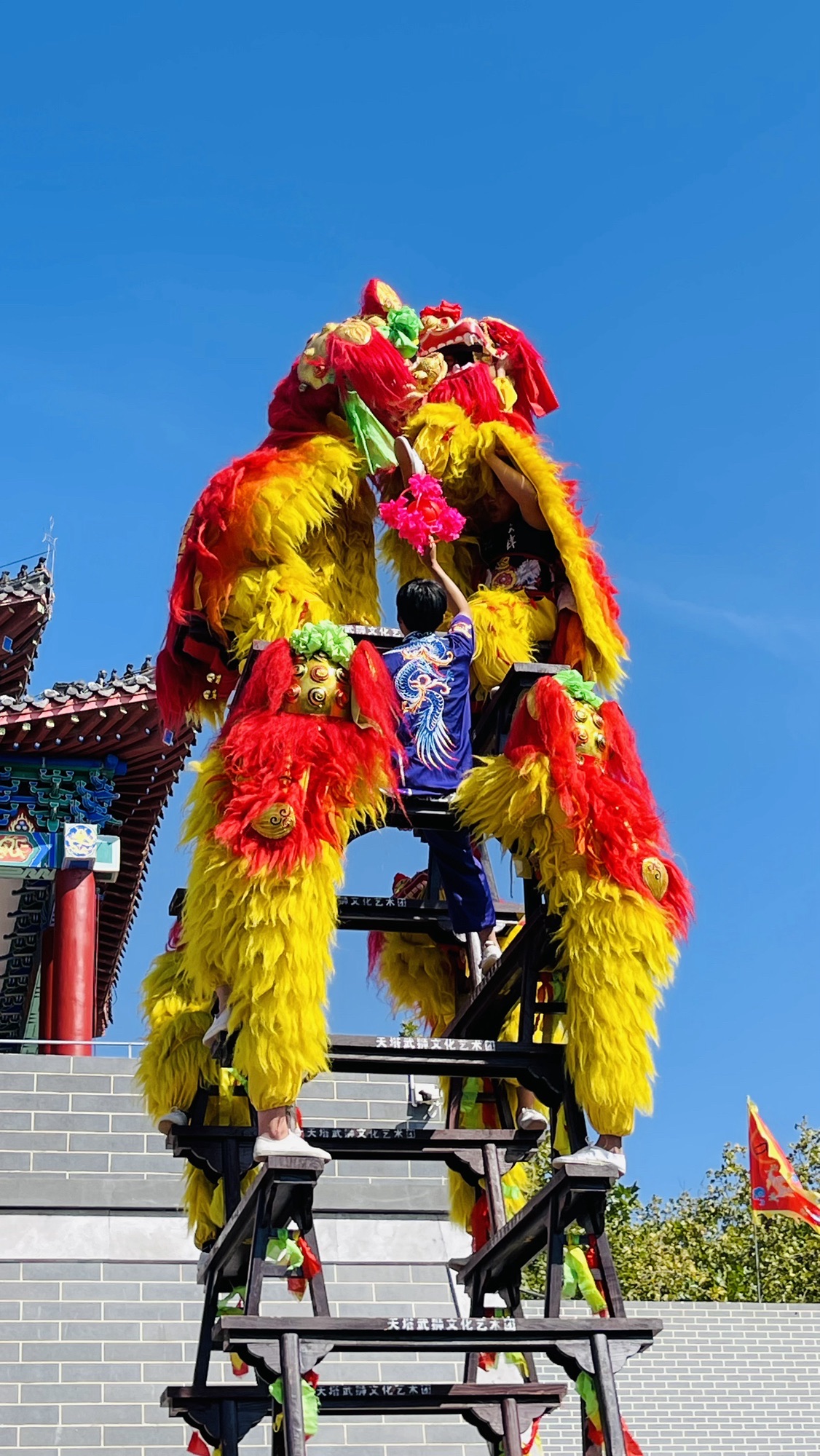 吴桥杂技大世界旅行图片 1