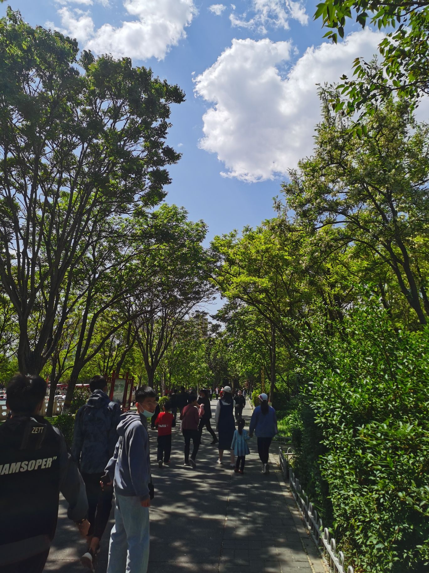 人民公园旅行图片 1