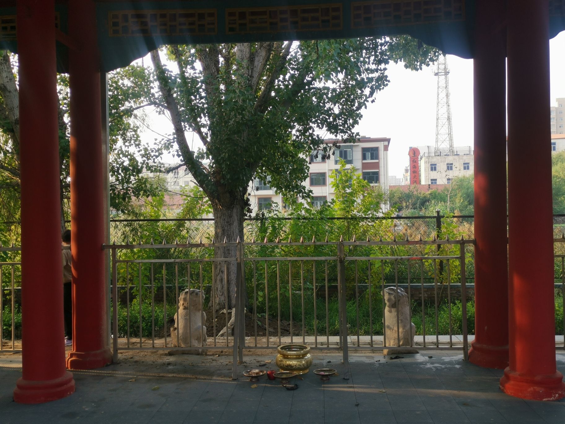石金刚(暂停开放)旅行图片 1