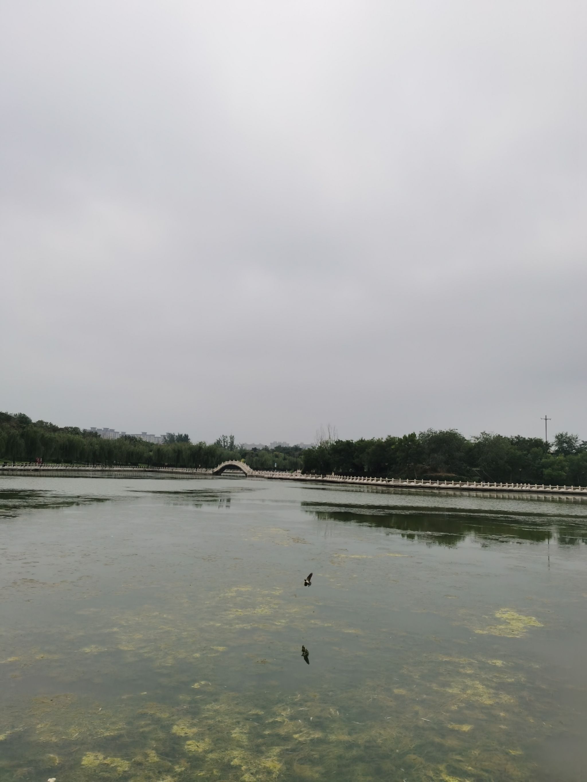 瀛海公园旅行图片 2