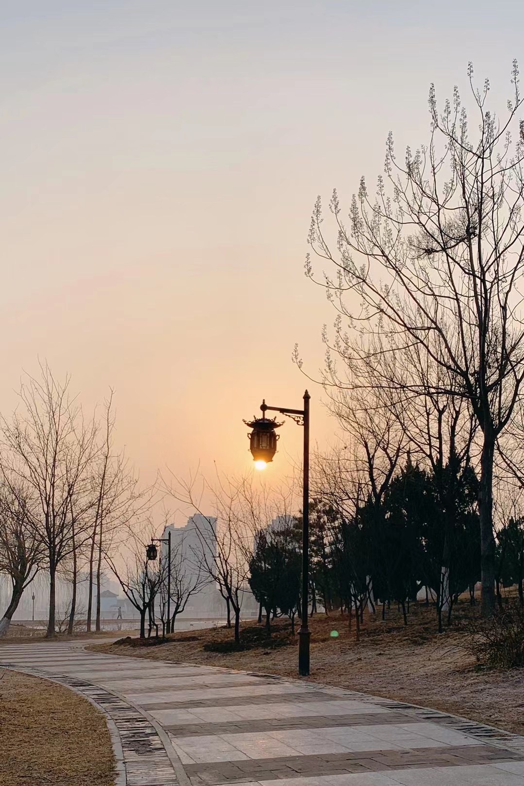 瀛海公园旅行图片 3