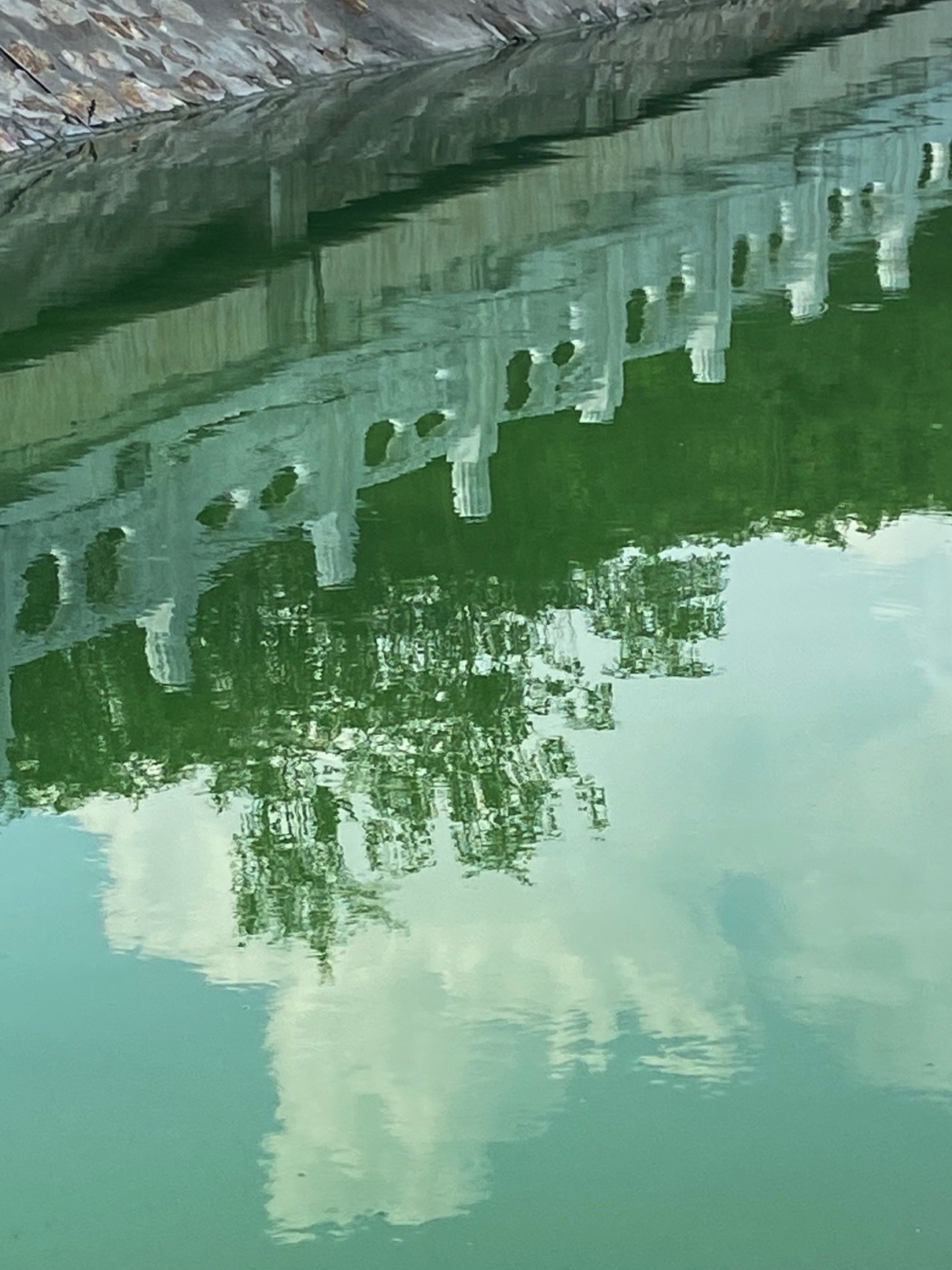 南湖公园旅行图片 3