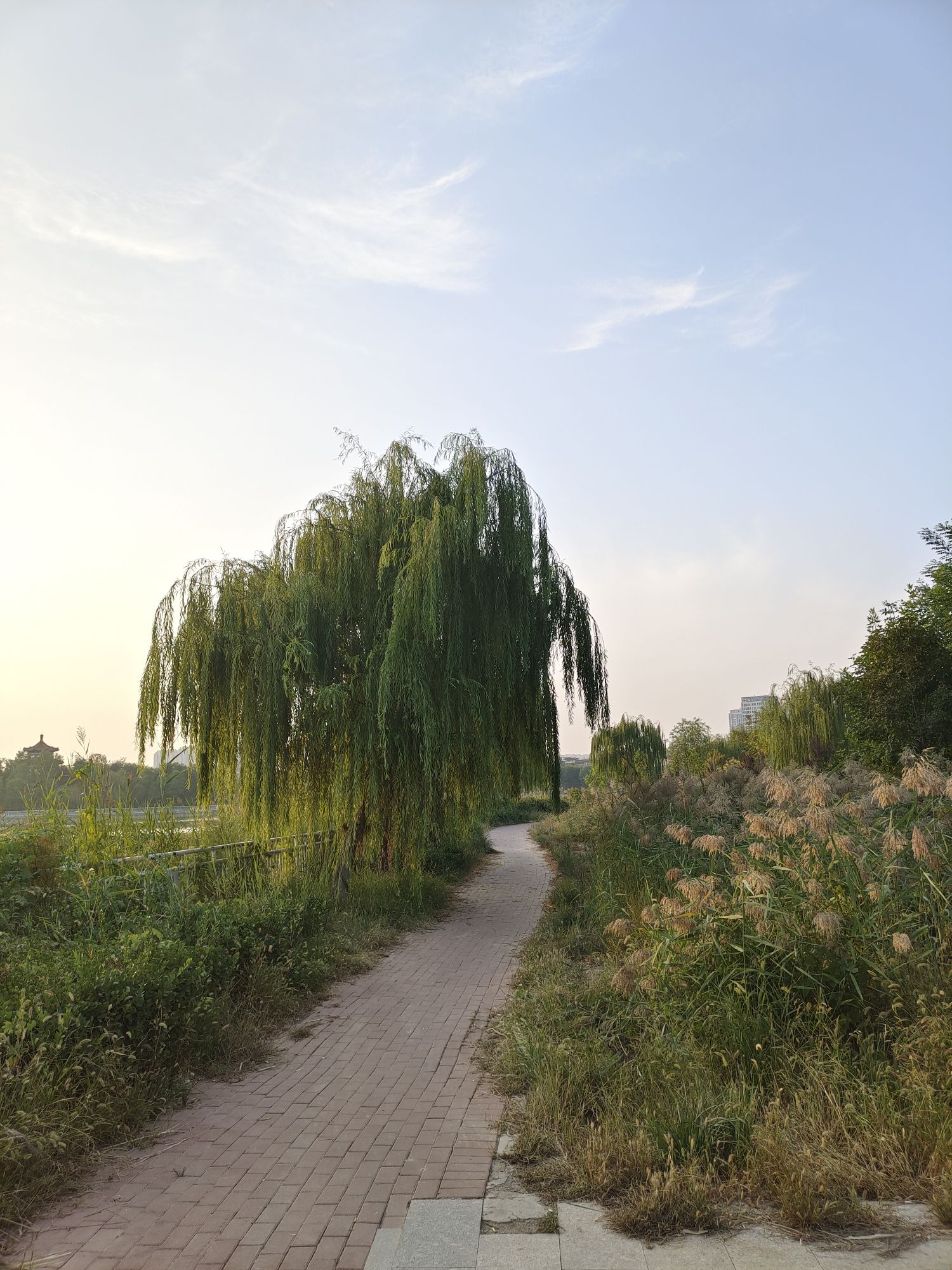 南湖公园旅行图片 2