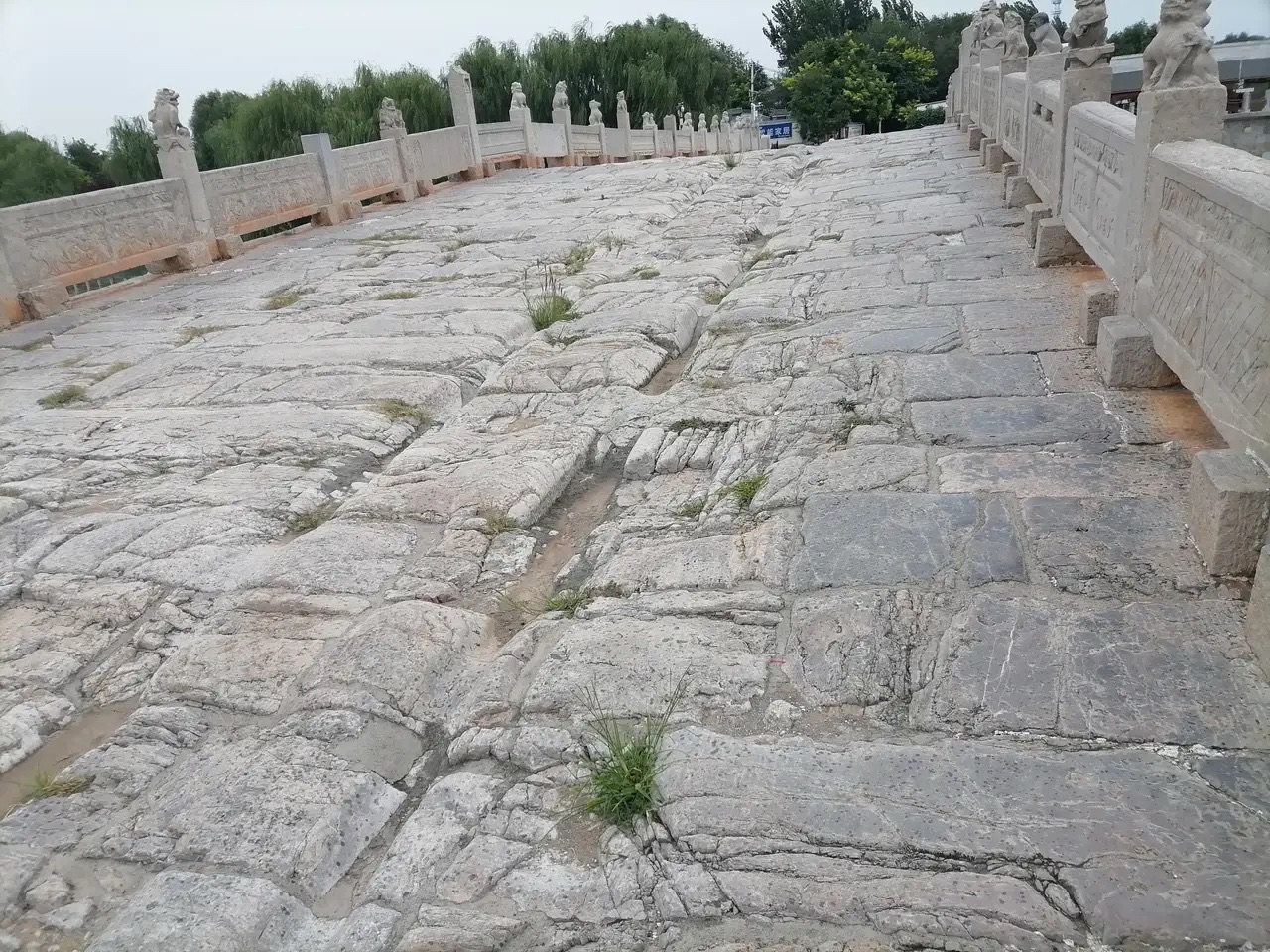 单桥旅行图片 3