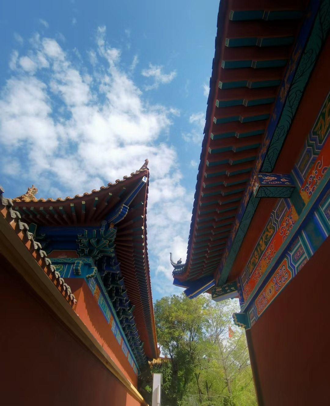 东光县铁佛寺景区旅行图片 1